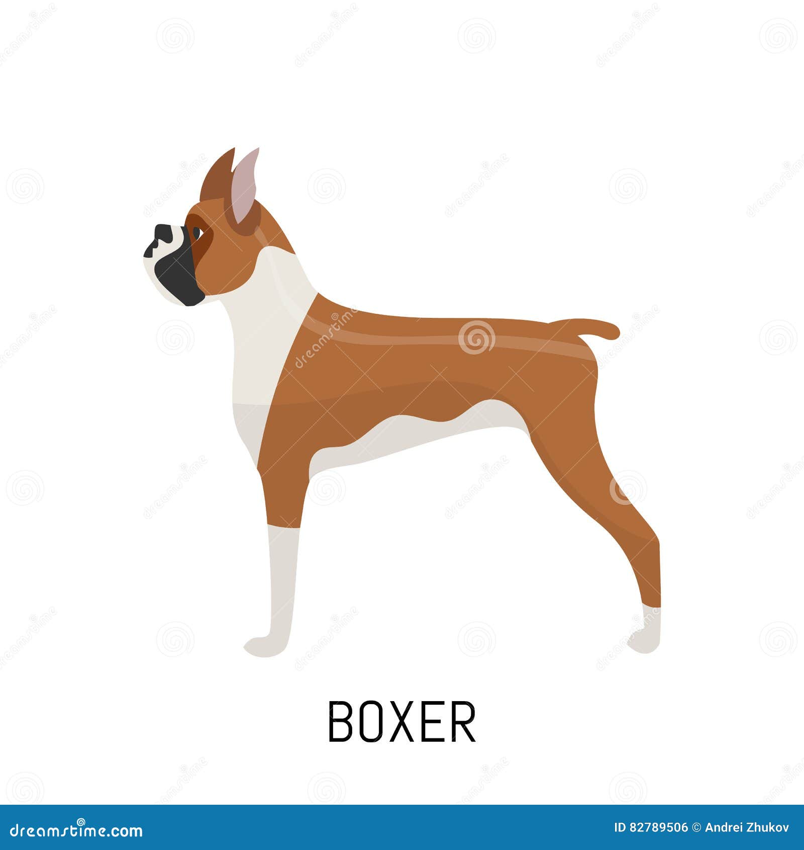 Boxare Hund Plan Symbol Bakgrund Isolerad White Vektor Illustrationer