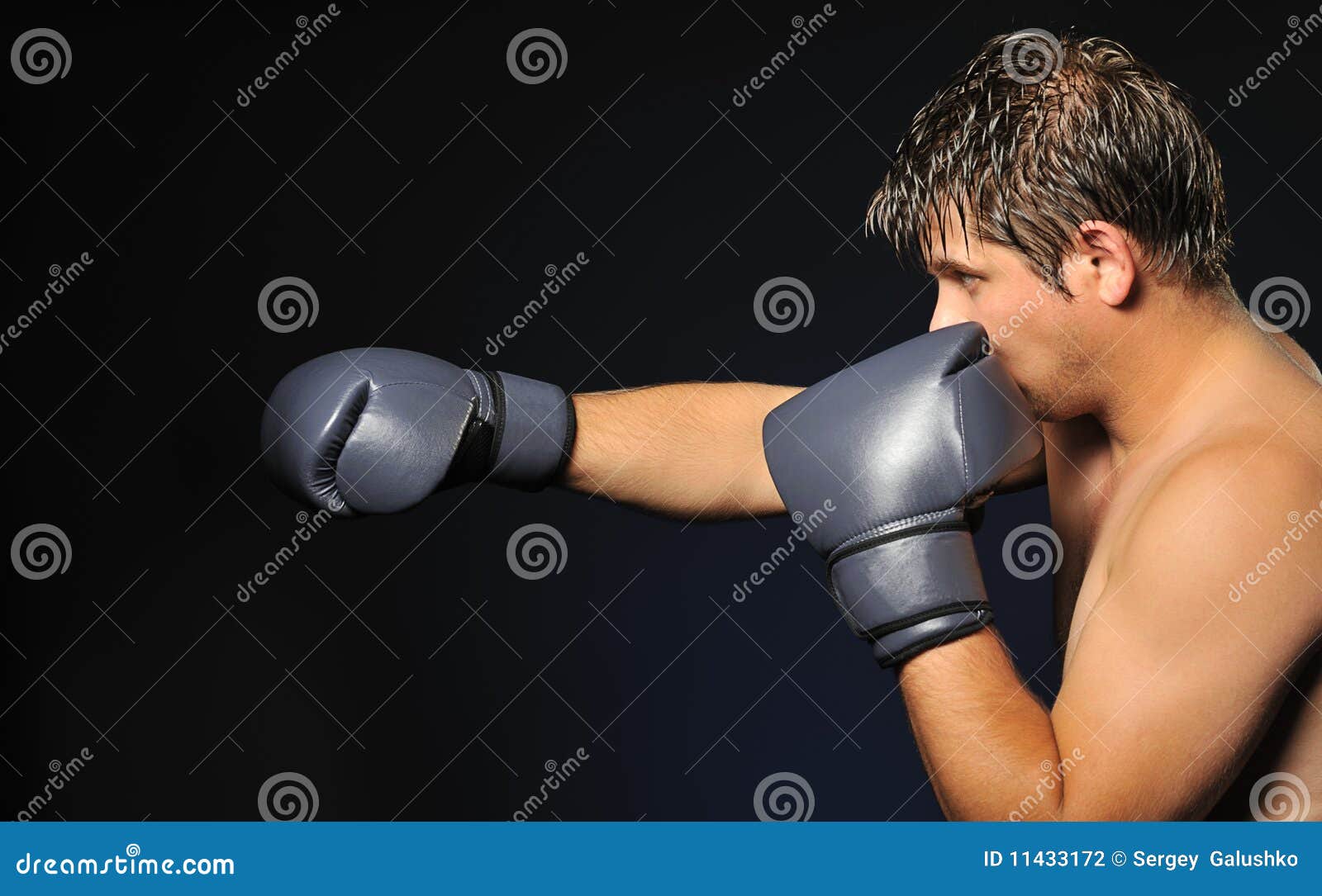 The boxer stock photo. Image of aggression, combative 11433172