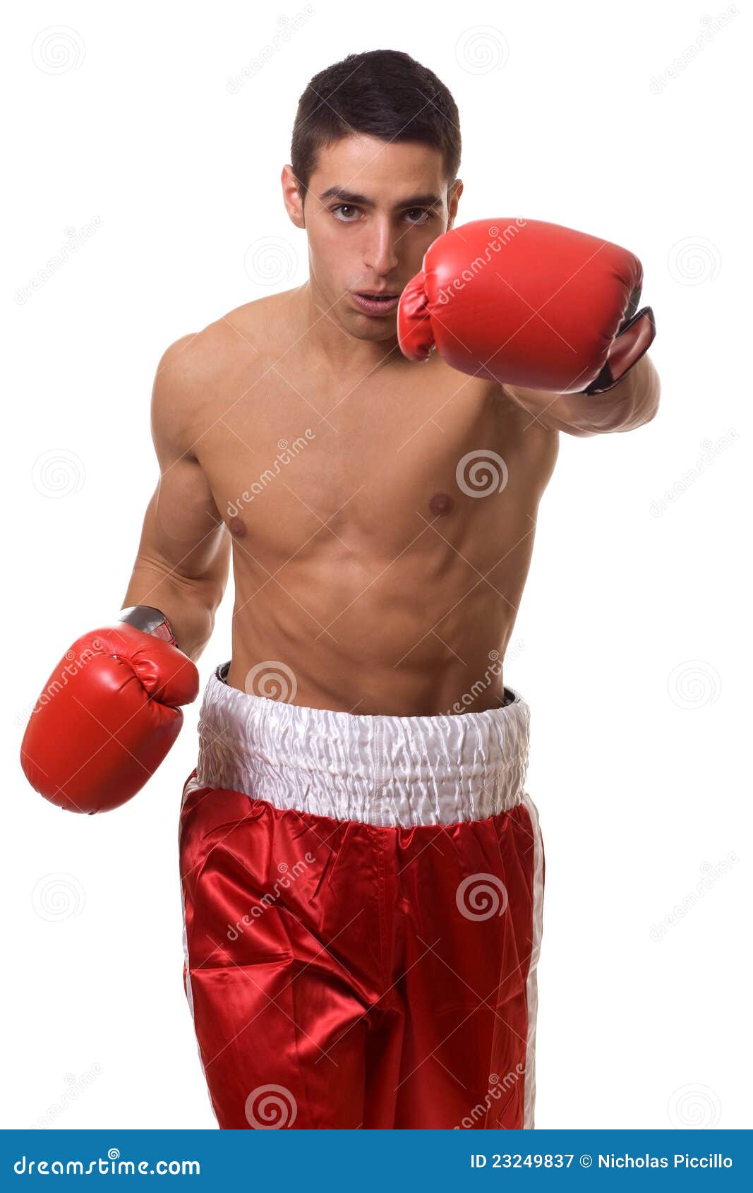 Boxer stock image. Image of boxing, athlete, sport, muscular 23249837
