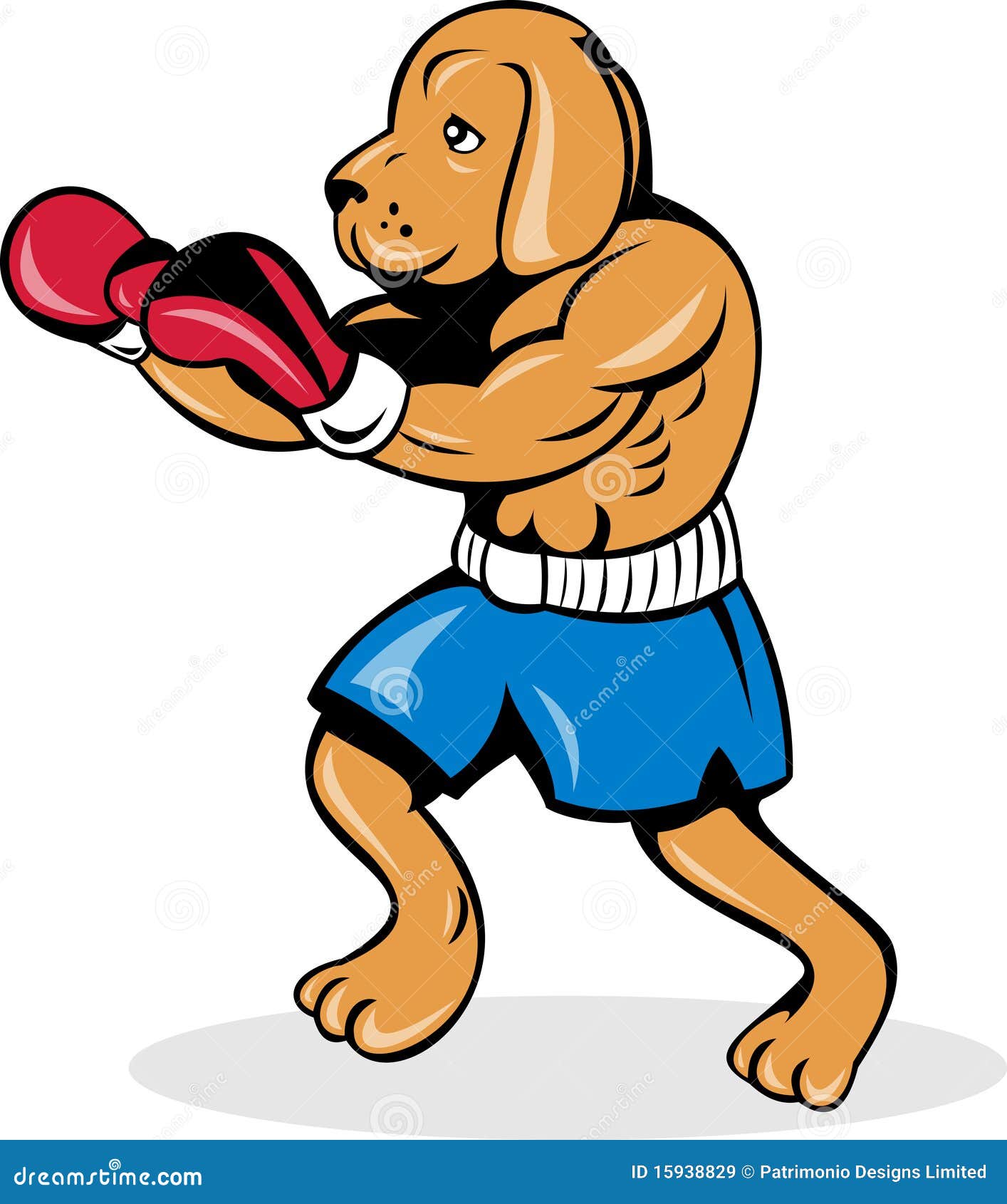 Boxer dog boxing gloves stock illustration. Illustration of white