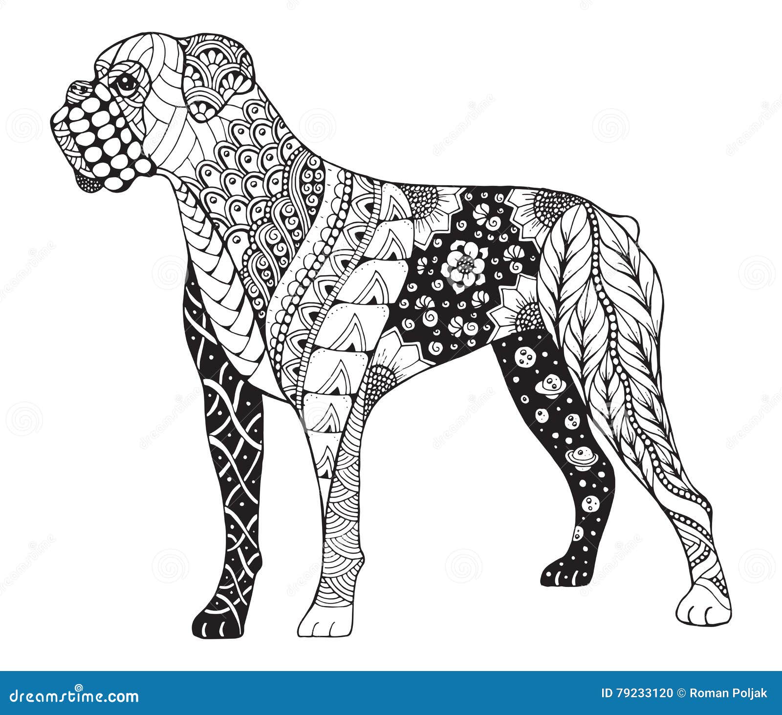 boxer dog zentangle stylized, , , freehand