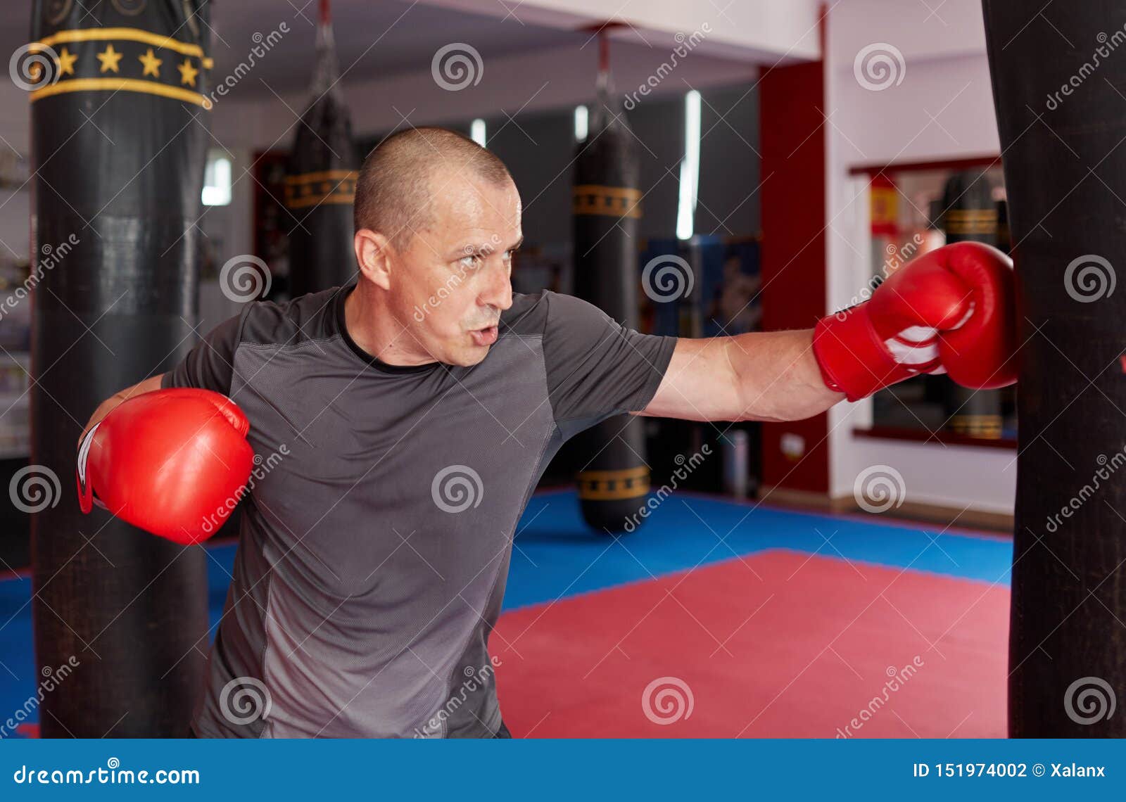Boxer with heavy bag stock photo. Image of gloves, health 151974002