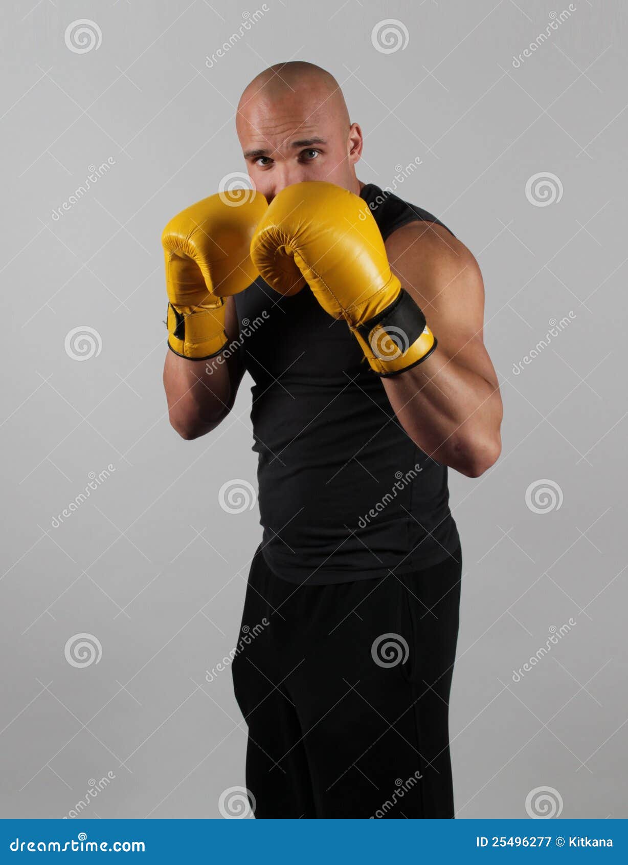 Boxer With His Guard Up stock image. Image of muscled 25496277