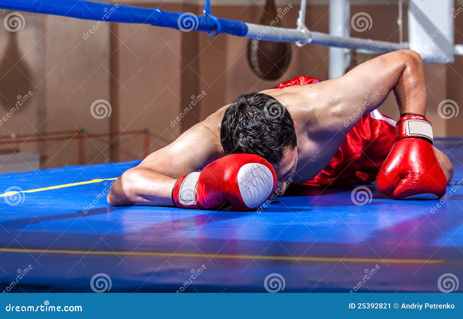 Boxer Lying Knocked Out in a Boxing Ring Stock Image Image of health