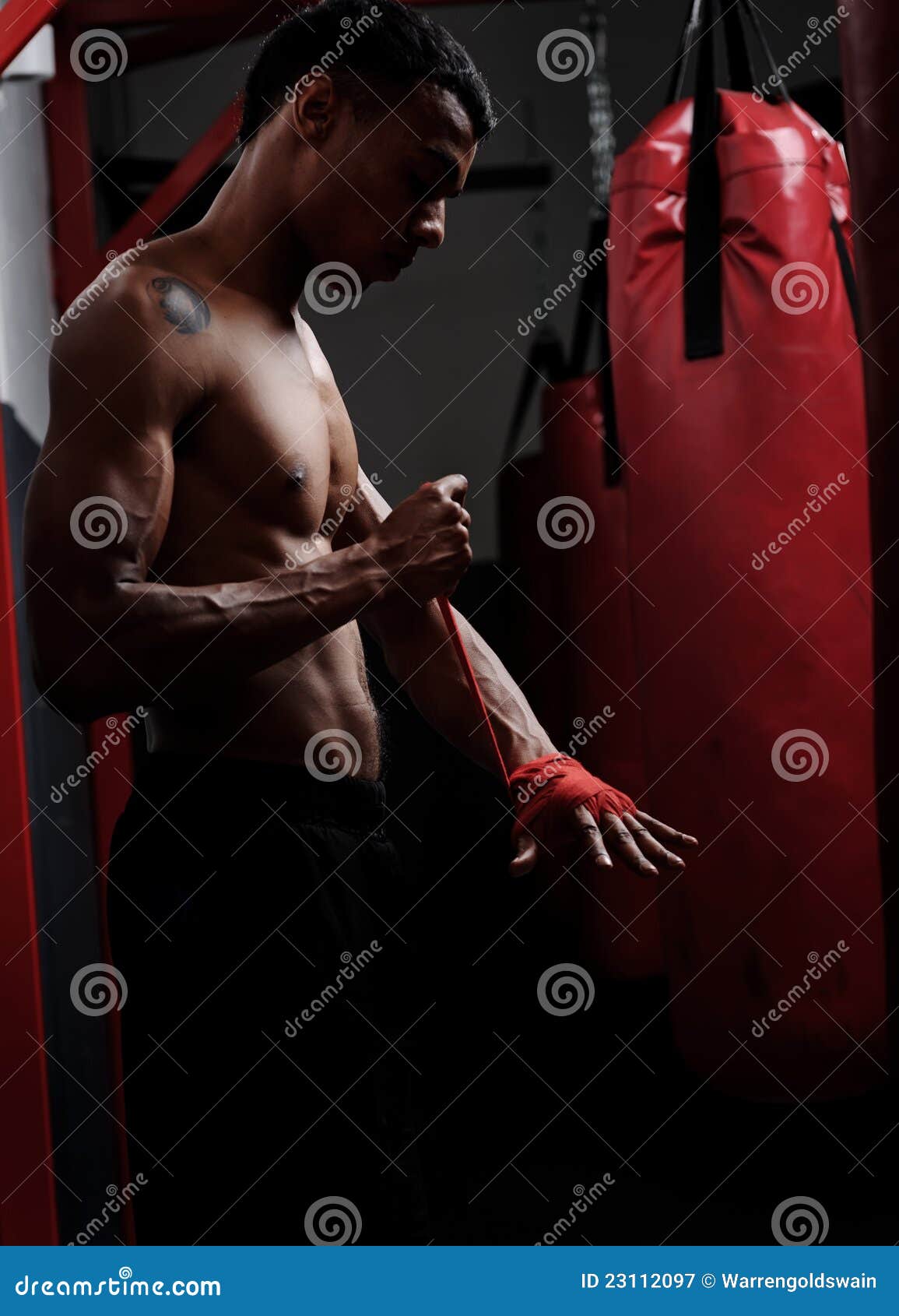 Boxer protection stock image. Image of adult, body, preparation 23112097