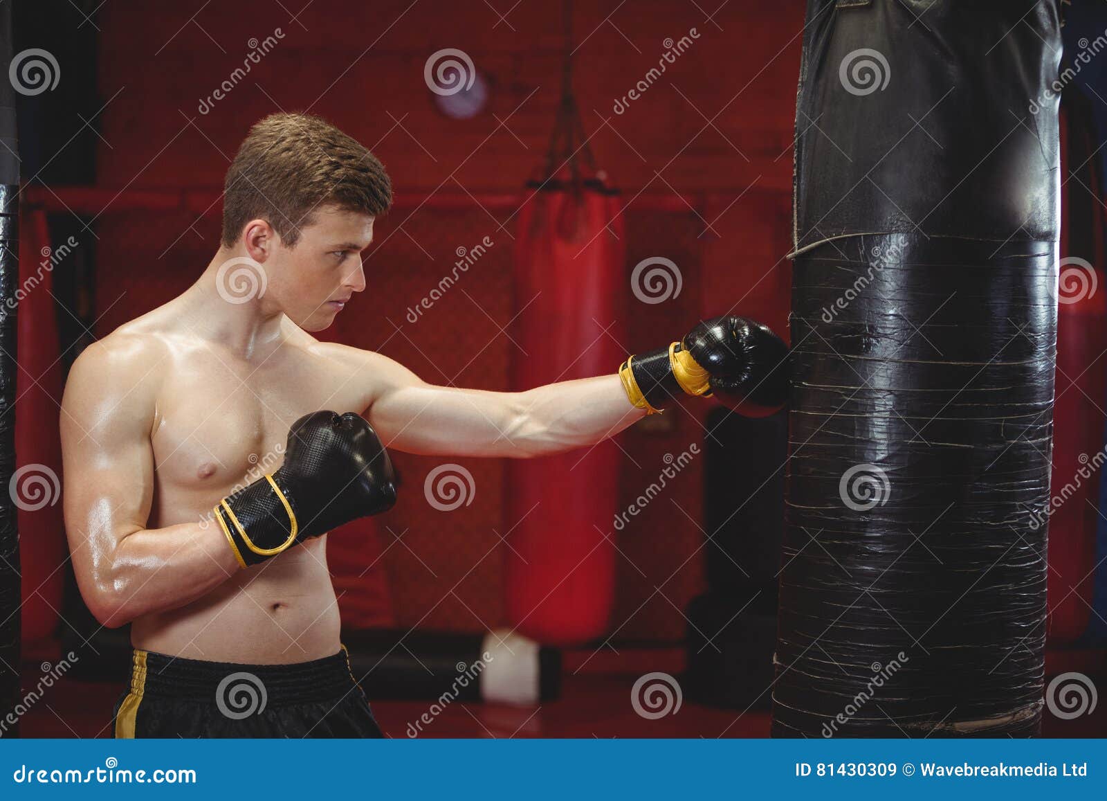 Boxer Punching a Boxing Bag Stock Image Image of healthy, glove 81430309