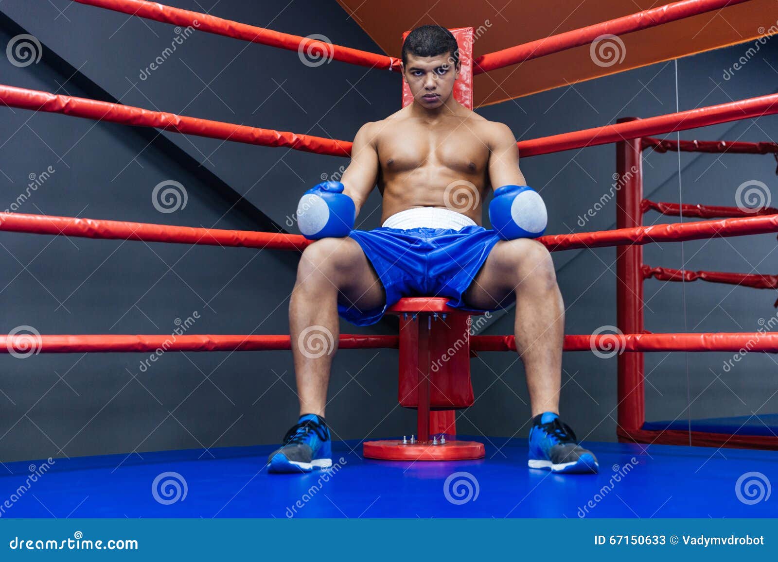 Boxer Sitting in Boxing Ring Stock Image Image of strength, athlete