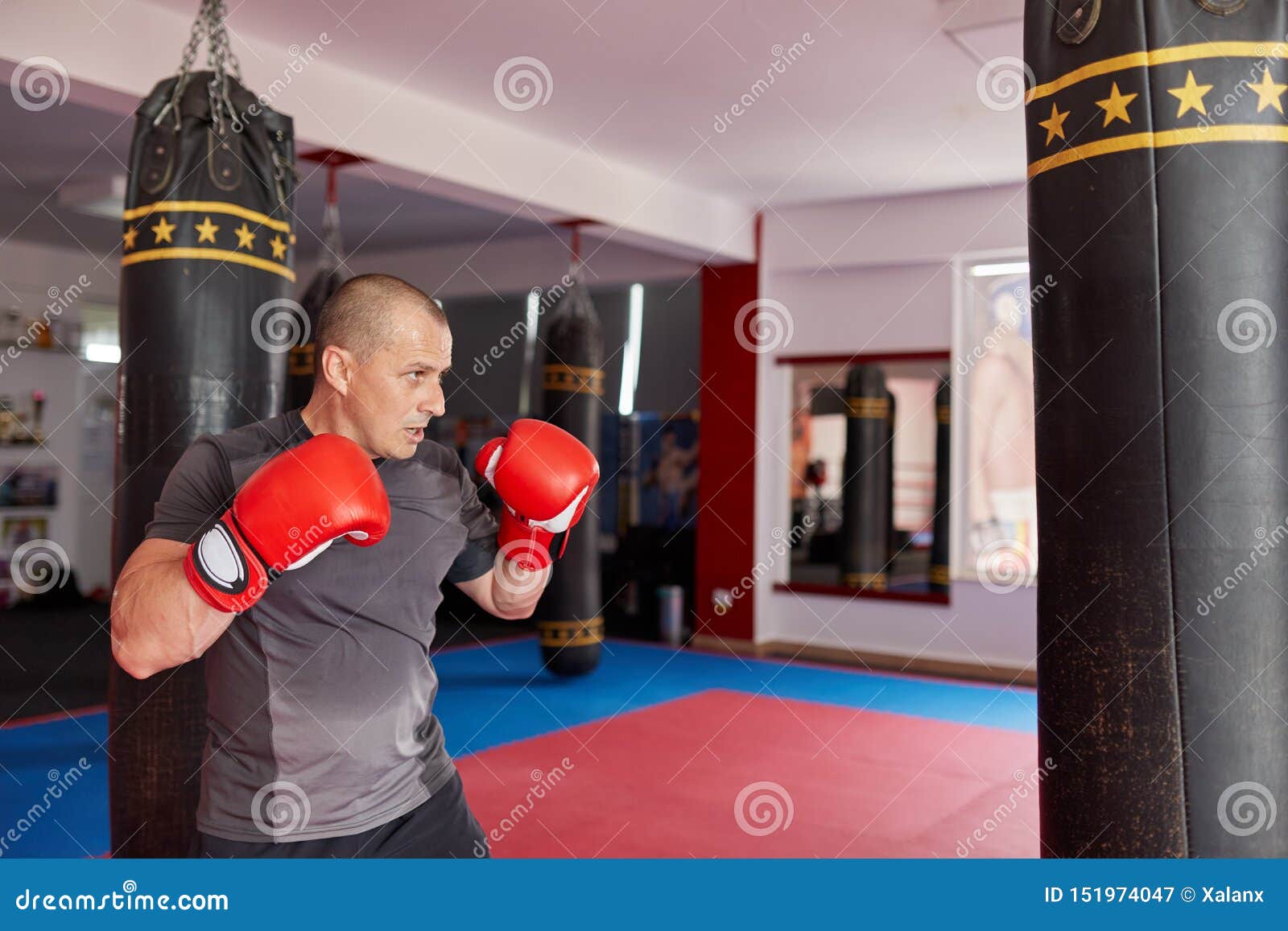 Boxer with heavy bag stock image. Image of body, sporty 151974047