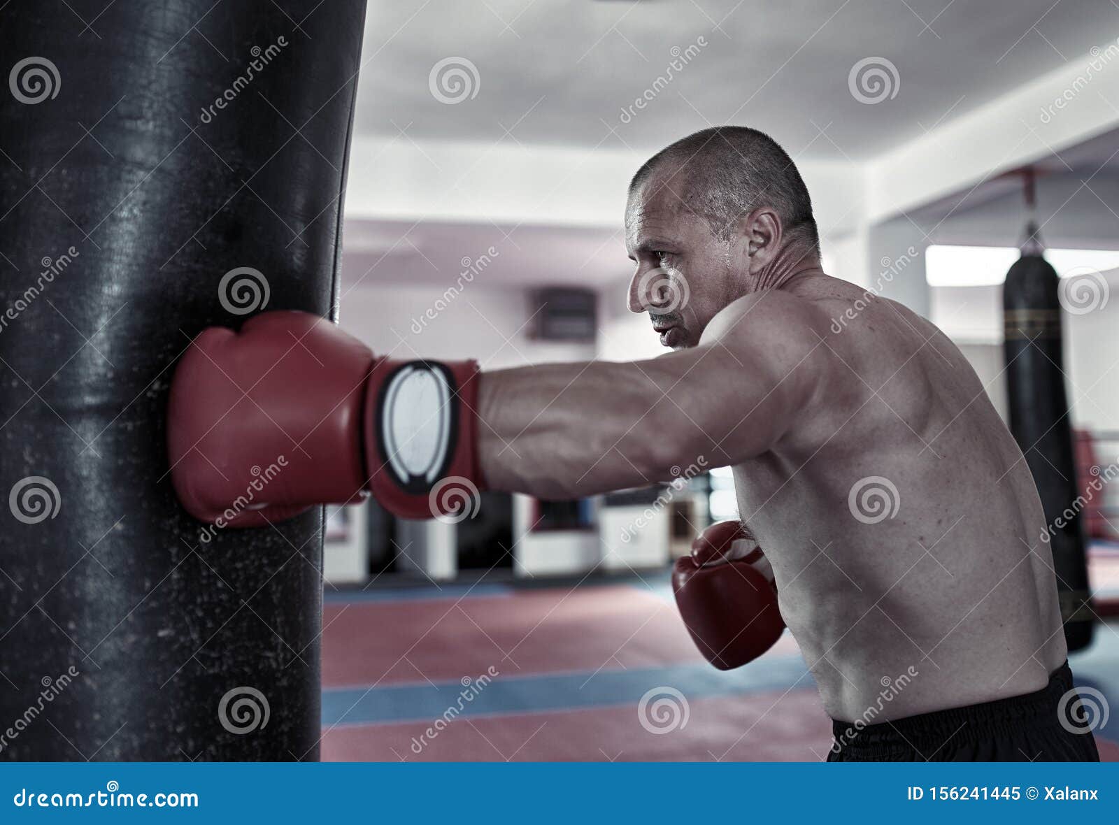 Boxer Training at Heavy Bag Stock Image Image of practice, caucasian