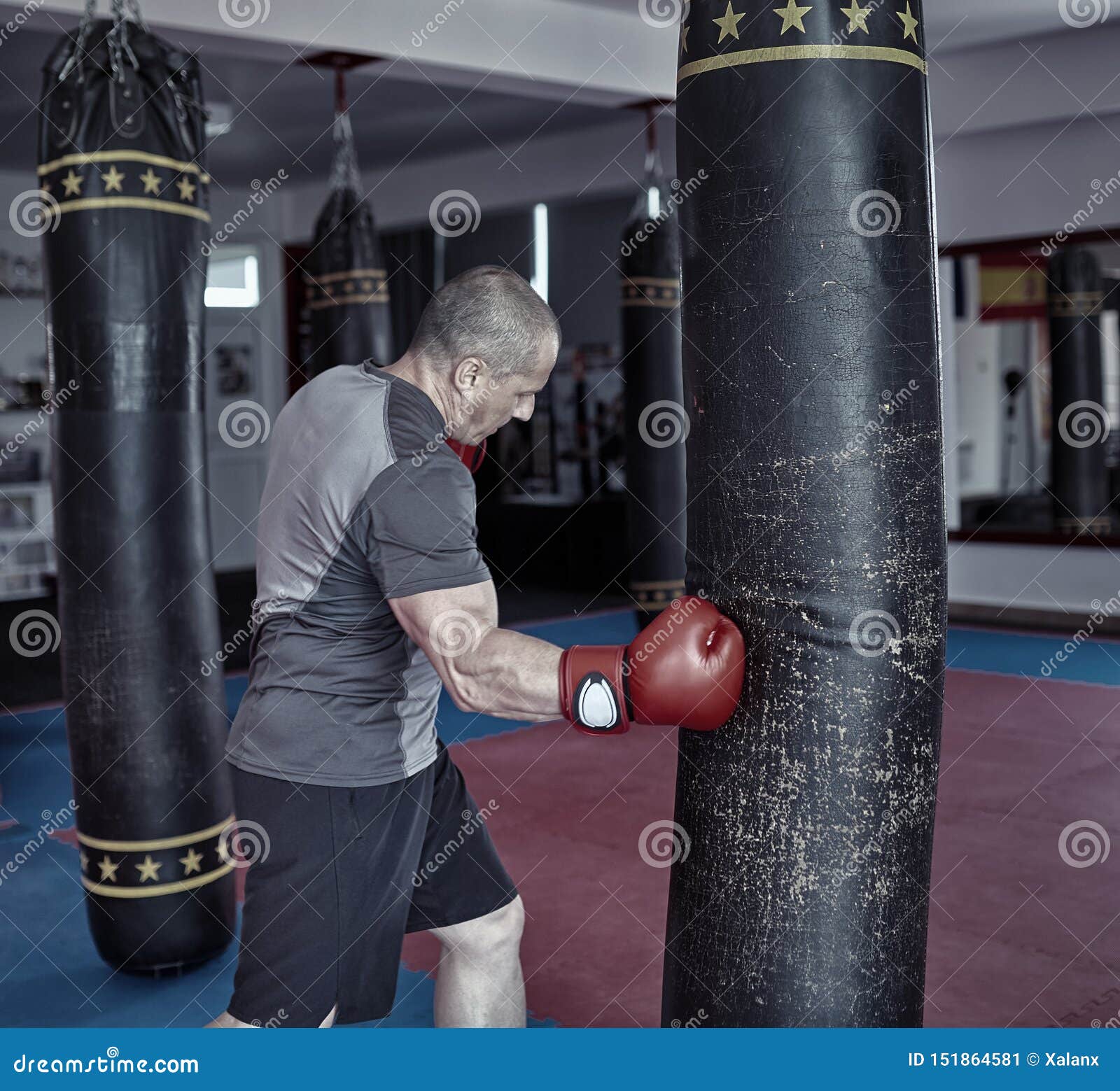 Boxer Working the Heavy Bag Stock Image Image of gloves, adult 151864581
