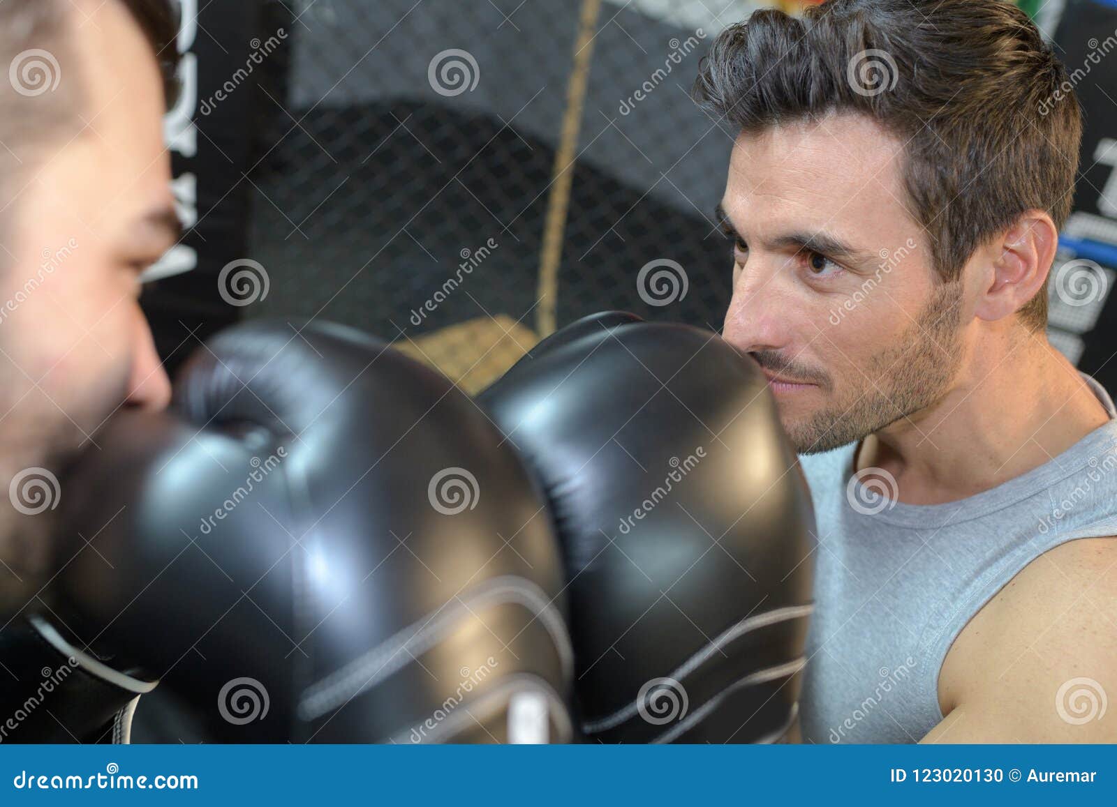 Boxers with Gloves Touching Stock Photo Image of rivals, punch 123020130