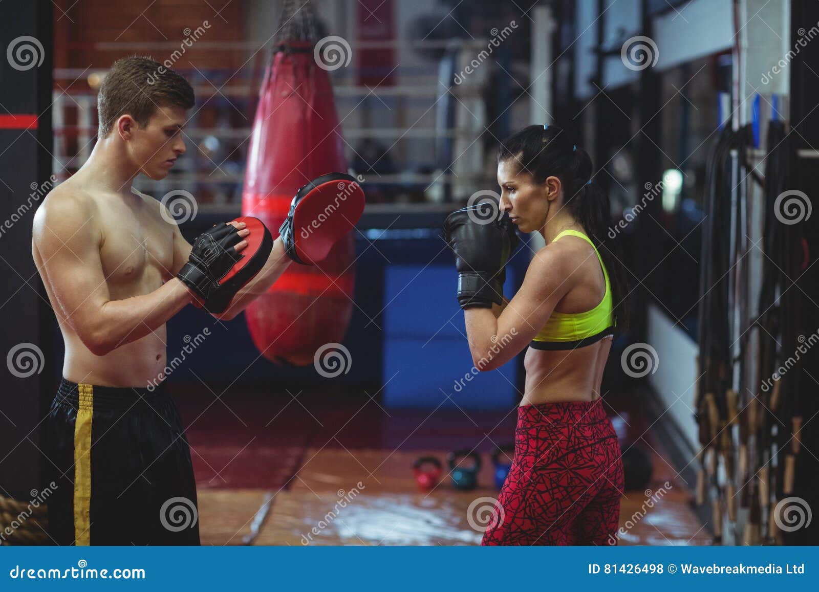 Boxers Using Focus Mitts during Training Stock Photo Image of mitts