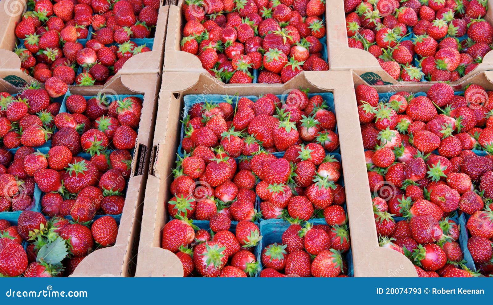Boxes of Boxes Market Strawberries Stock Image Image of market