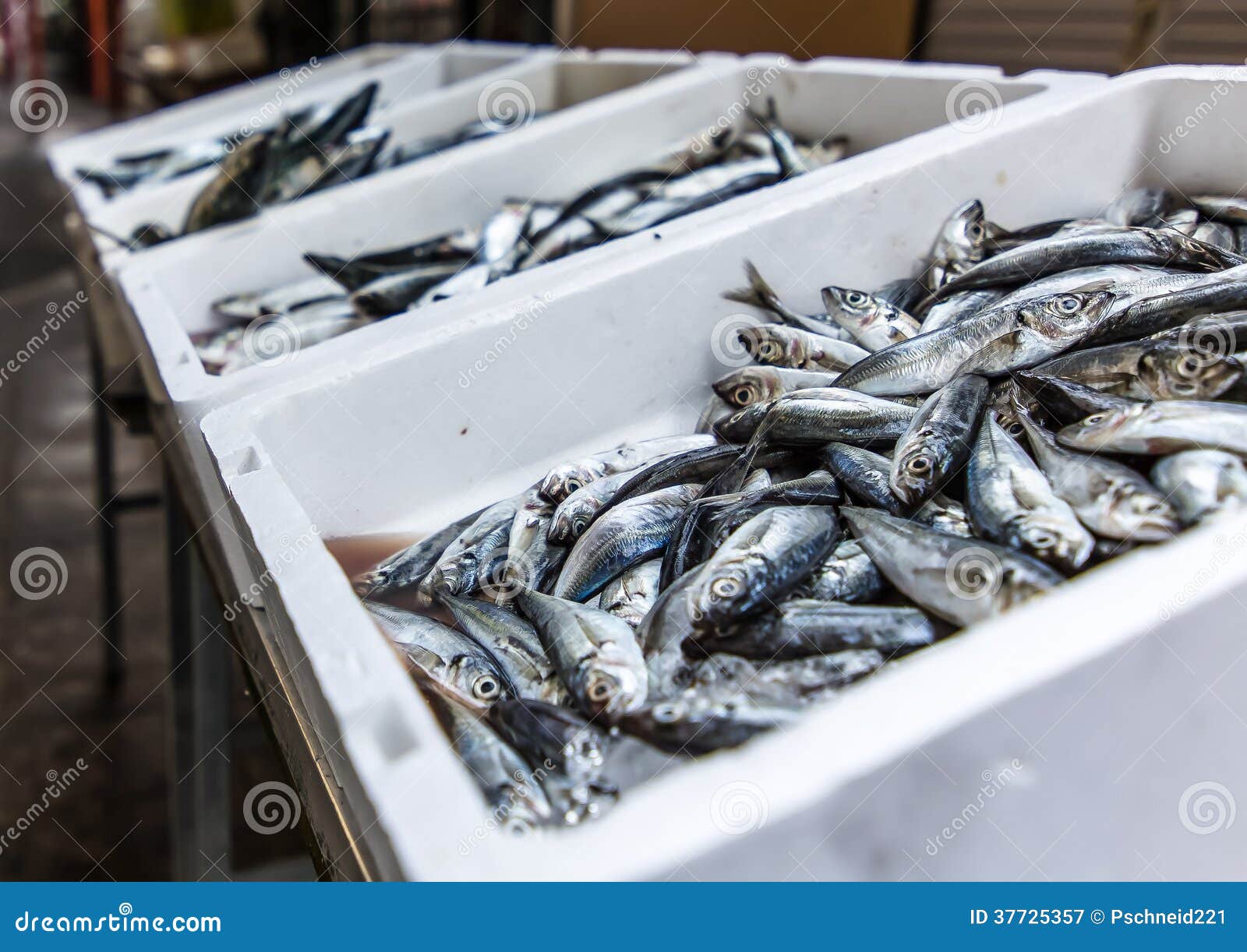 Boxes of sardines stock image. Image of mound, recedes 37725357