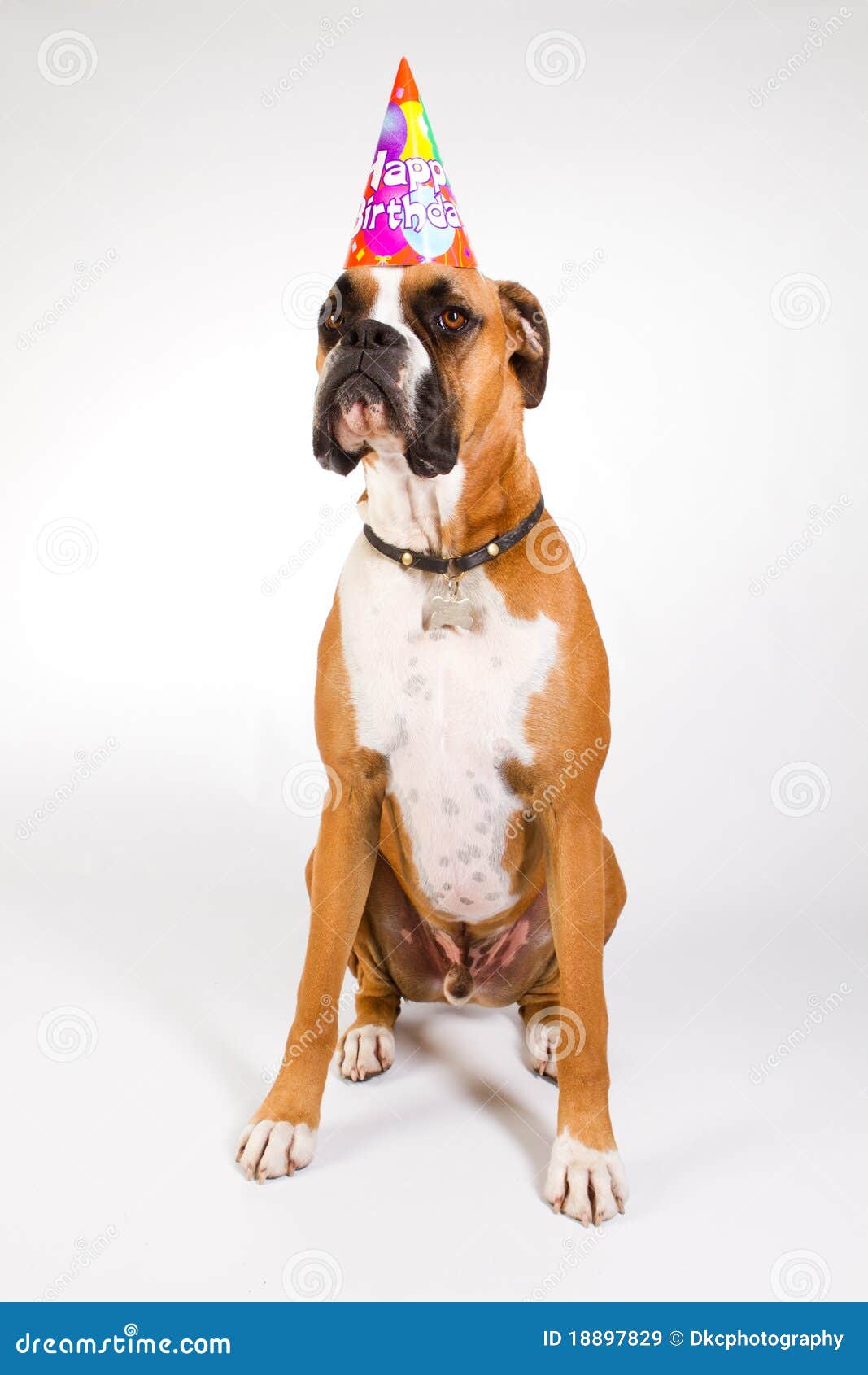 Boxeur Dans Un Chapeau De Reception Image Stock Image Du Anniversaire Chapeau 1879 Boxeur Dans Un Chapeau De Reception Image Stock Image Du Anniversaire Chapeau 1879
