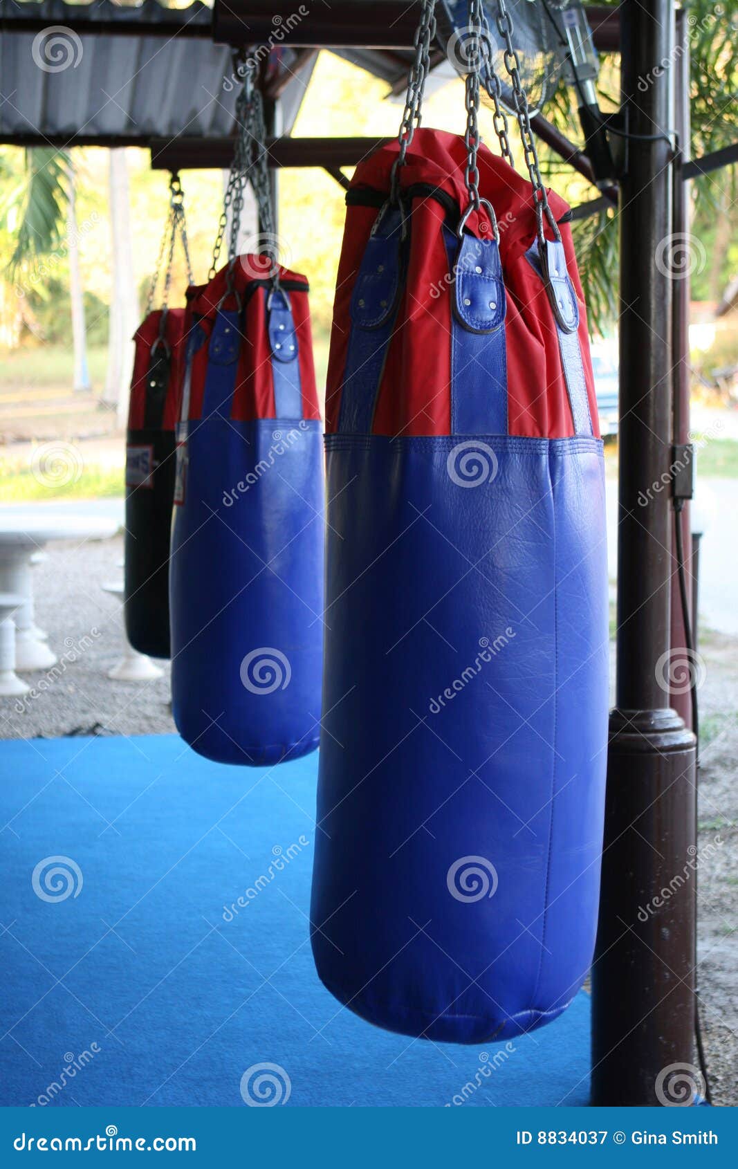 Boxing bags stock image. Image of sport, kung, equipment 8834037