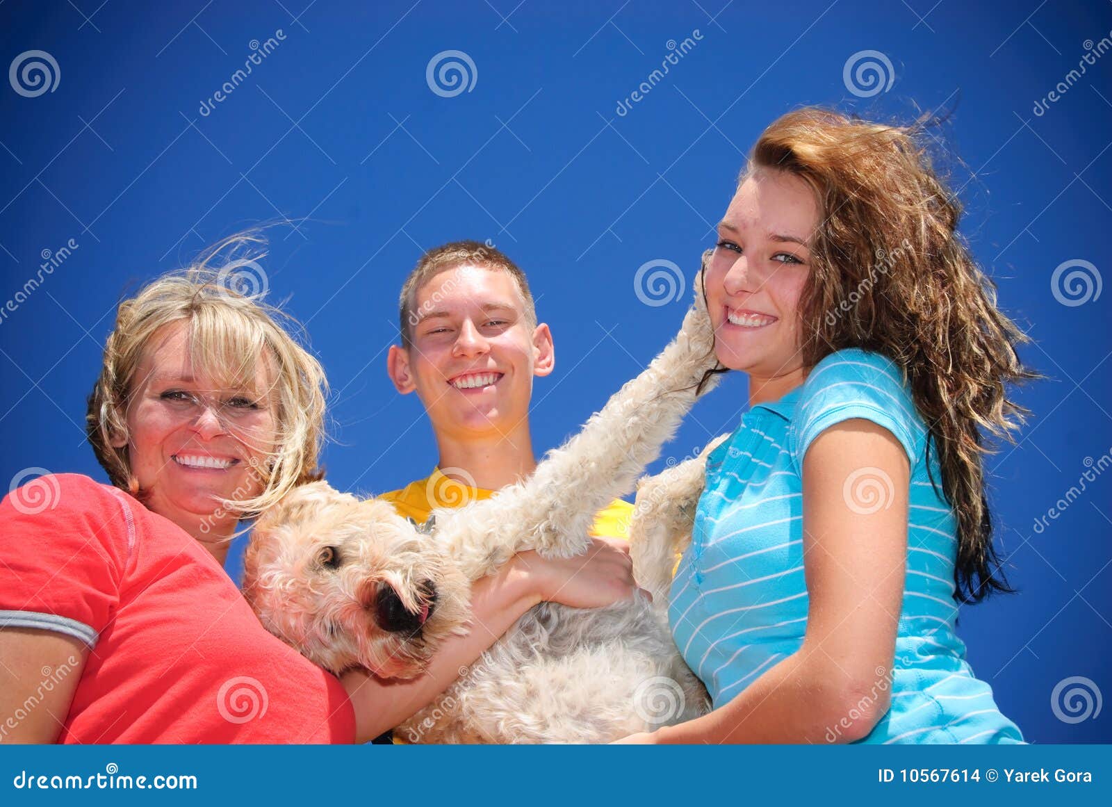 Boxing dog stock photo. Image of sister, stand, young 10567614