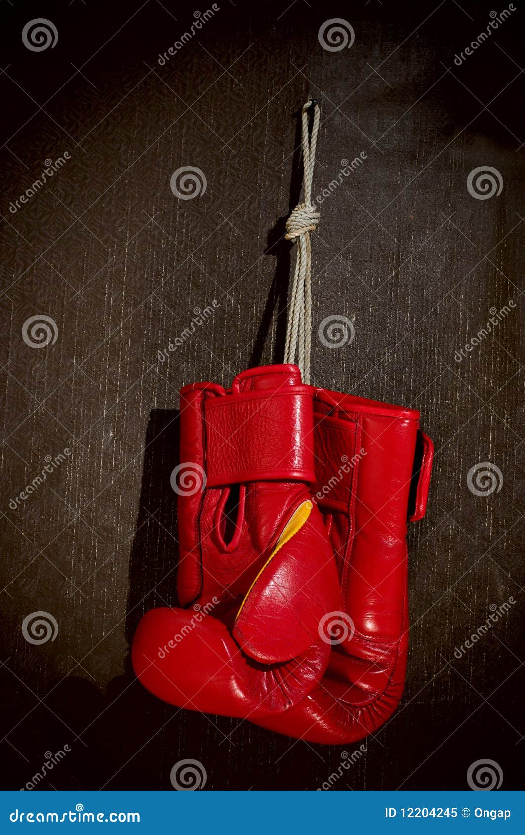 Boxingglove stock image. Image of hanging, background 12204245