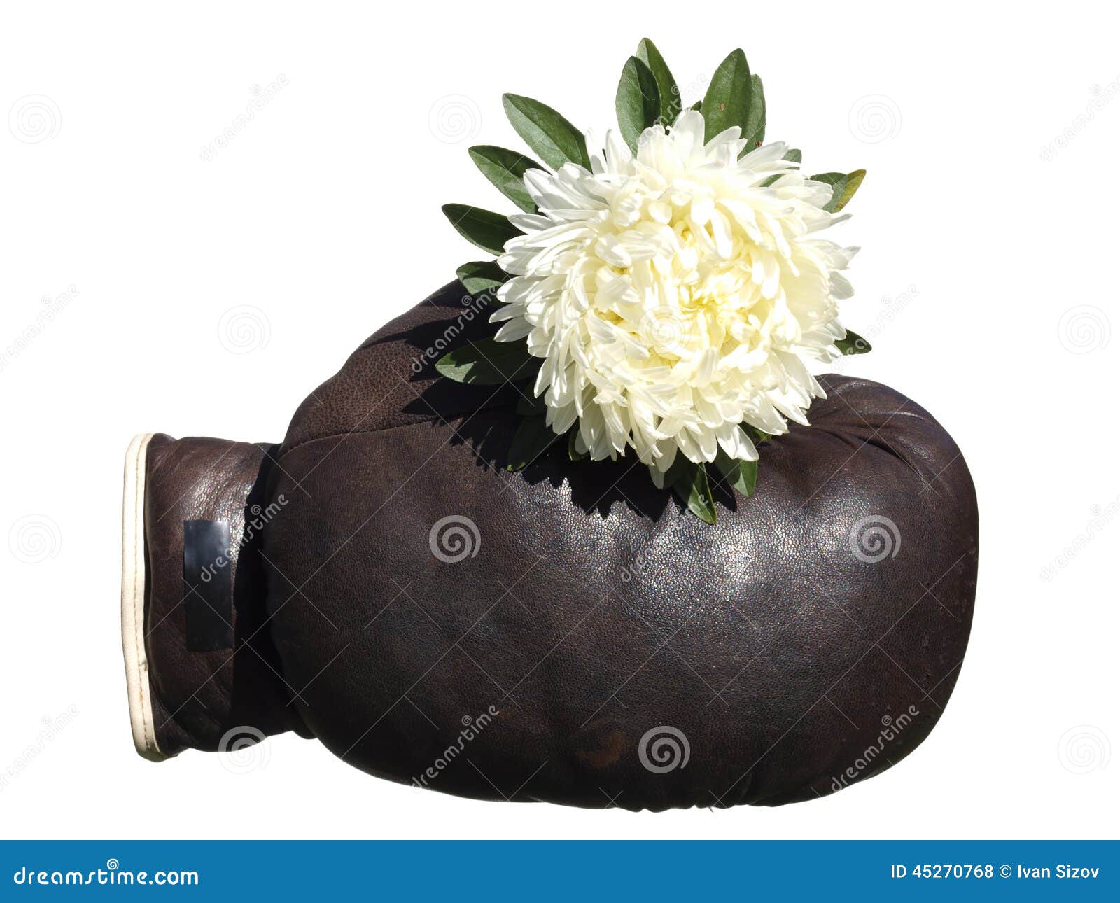 Boxing glove with flower . stock photo. Image of knock - 45270768