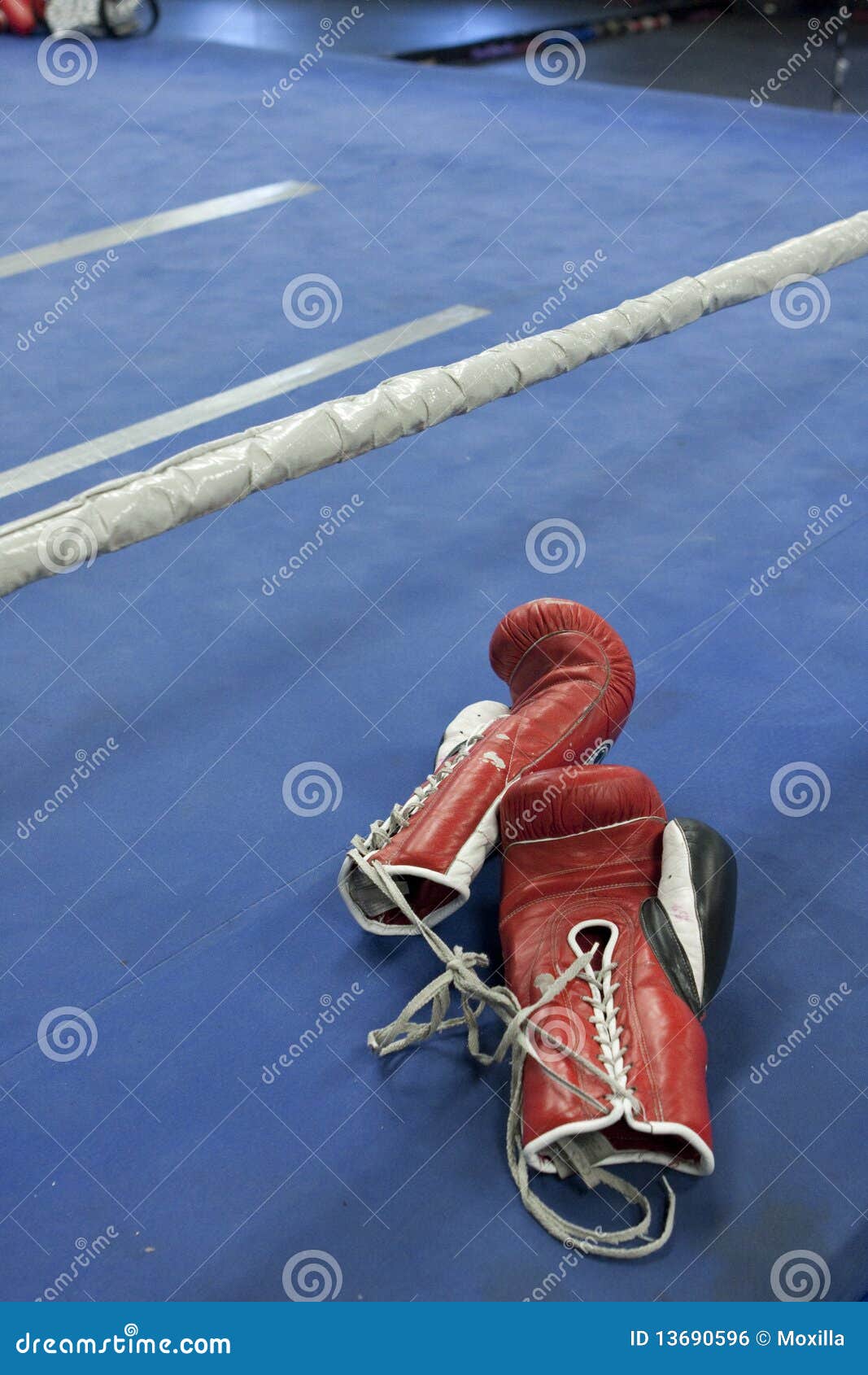 Boxing Gloves stock photo. Image of laces, boxing, apron 13690596