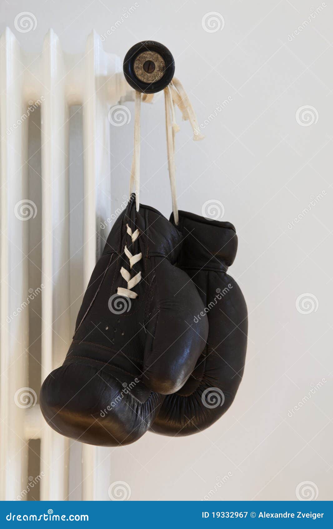 Boxing gloves hanging stock image. Image of sport, house 19332967