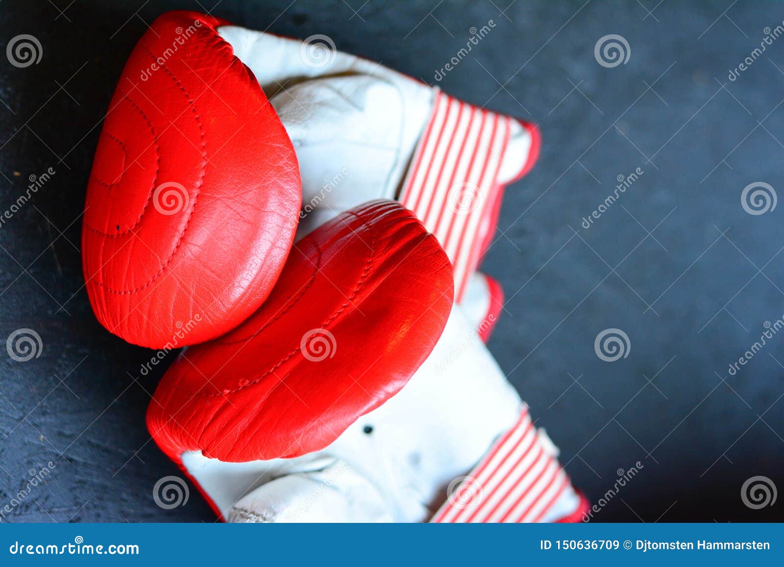 Boxing Gloves and Pads for Exercise Stock Image Image of color, arts