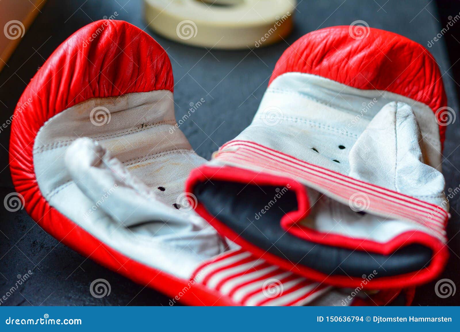 Boxing Gloves and Pads for Exercise Stock Photo Image of live, sports