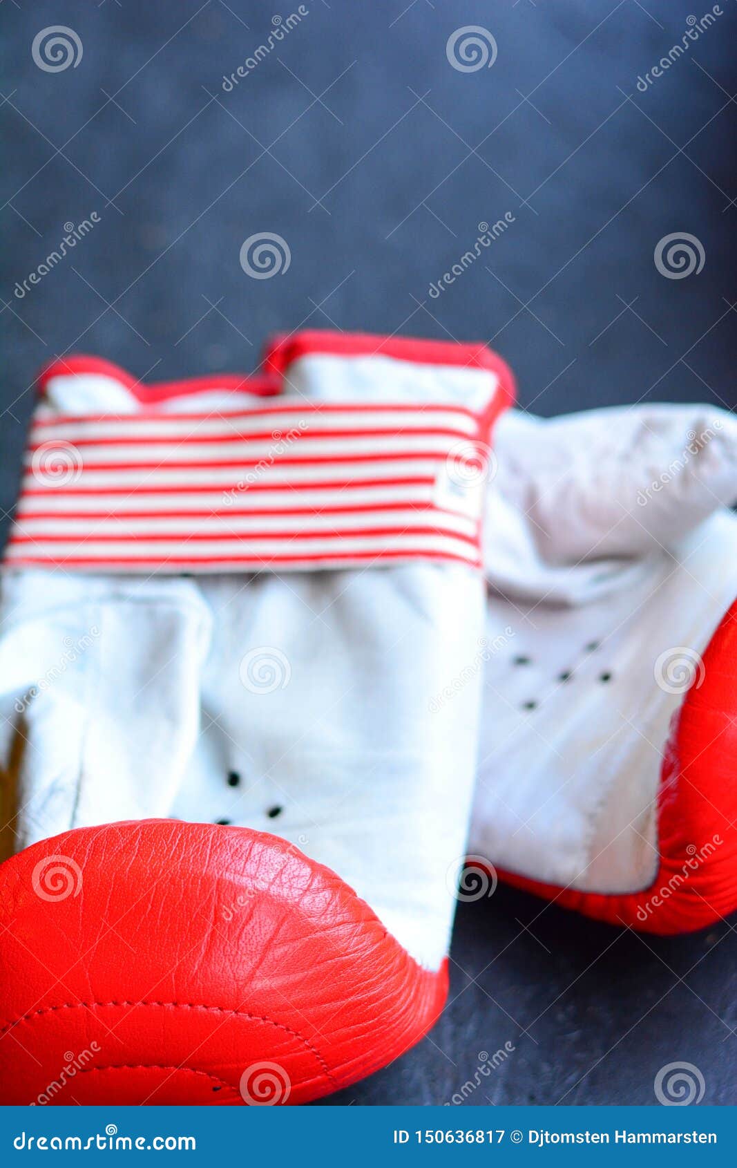 Boxing Gloves and Pads for Exercise Stock Image Image of second