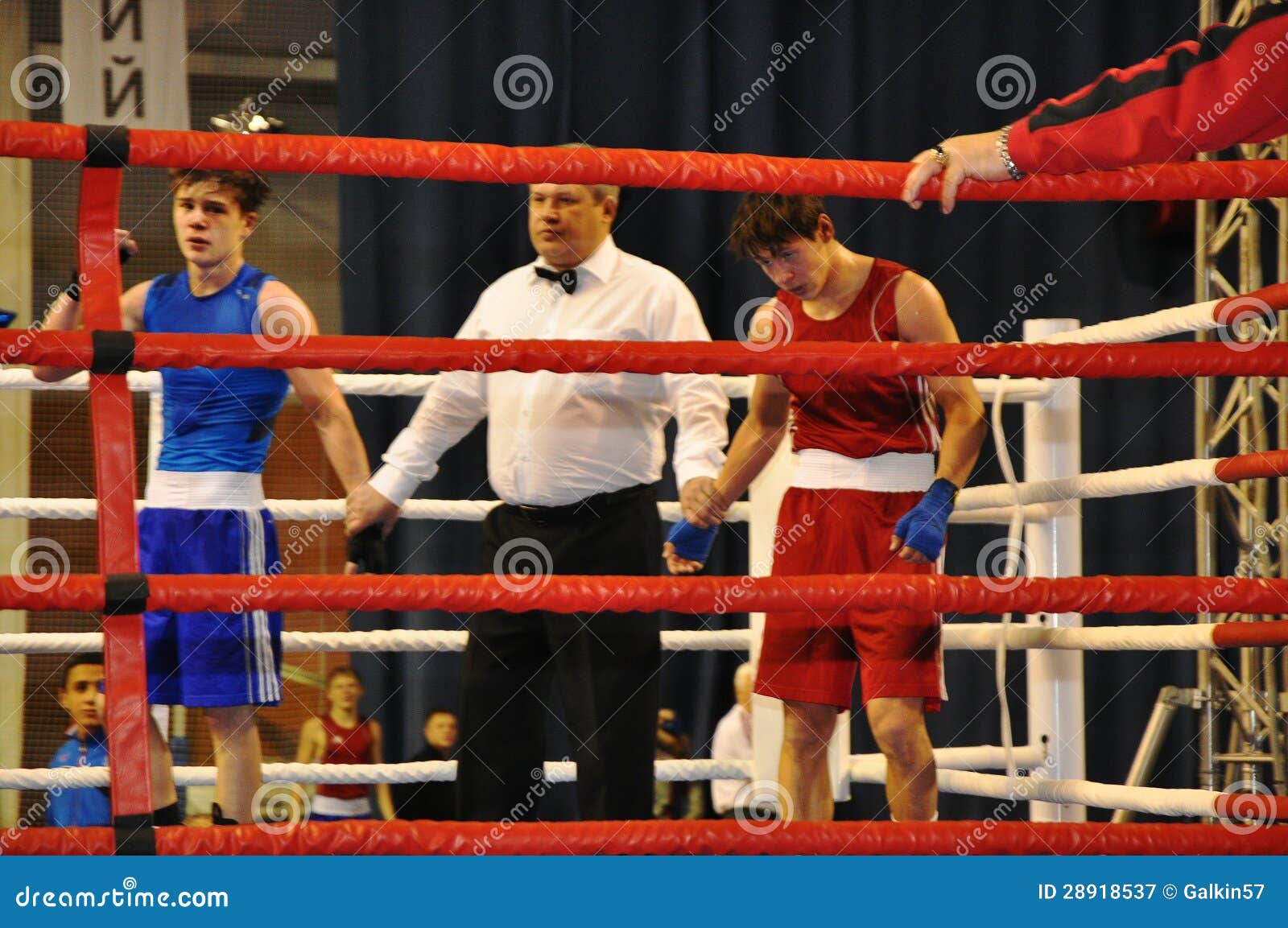 Boxing for men editorial photography. Image of competition 28918537