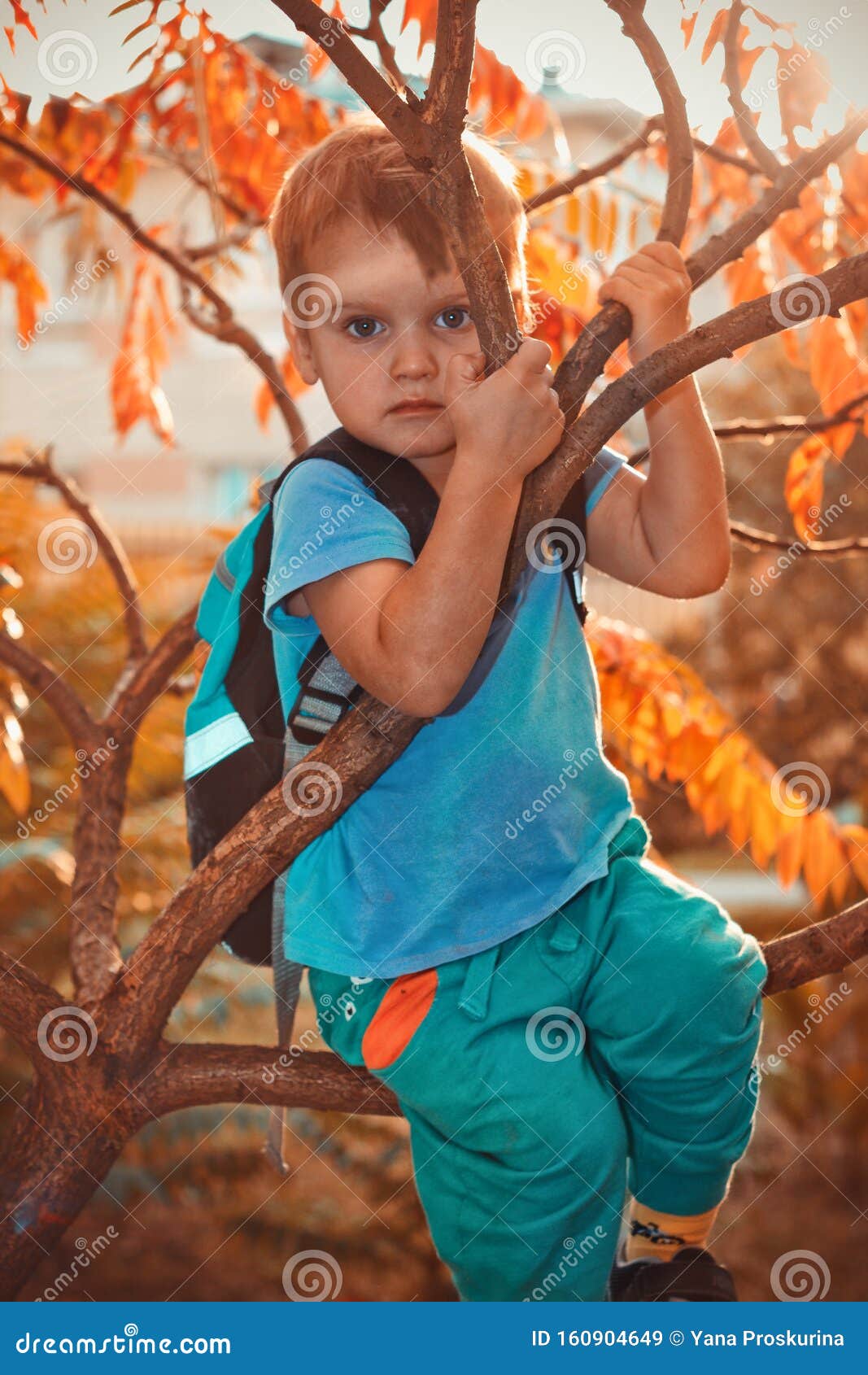 Boy with Backpack Climbing Up on Tree in Autumn Forest. Sunny Autumn ...