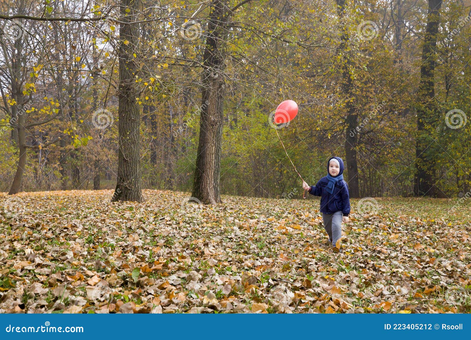 Boy in a blue jacket stock photo. Image of traveling - 223405212