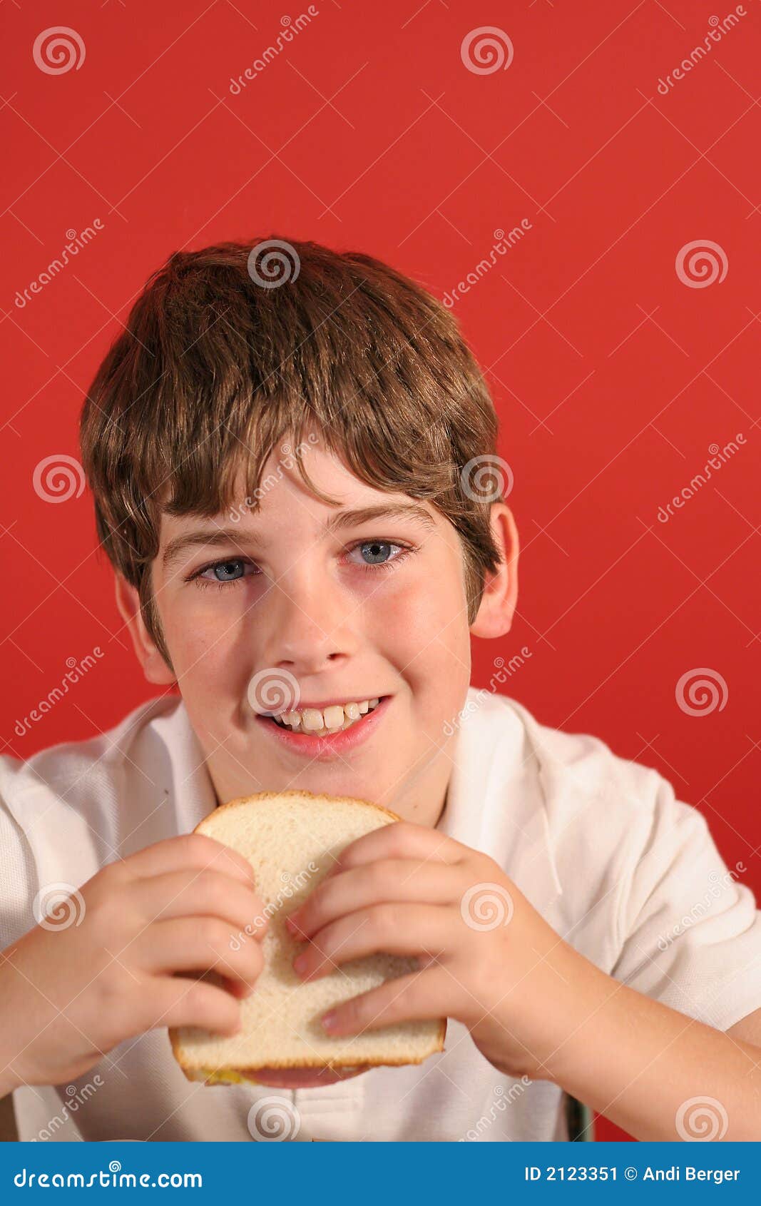 Boy with Bologna Sandwich Vert Stock Image Image of child, bologna