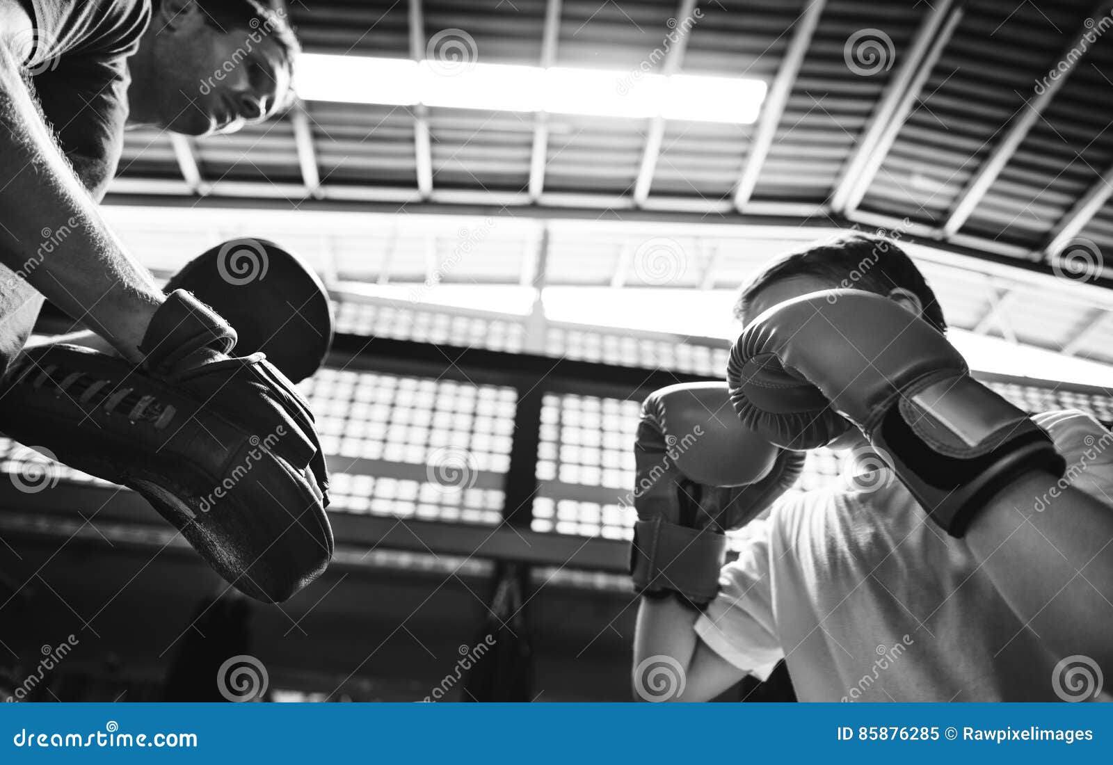 Boy Boxing Training Punch Mitts Exercise Concept Stock Image Image of
