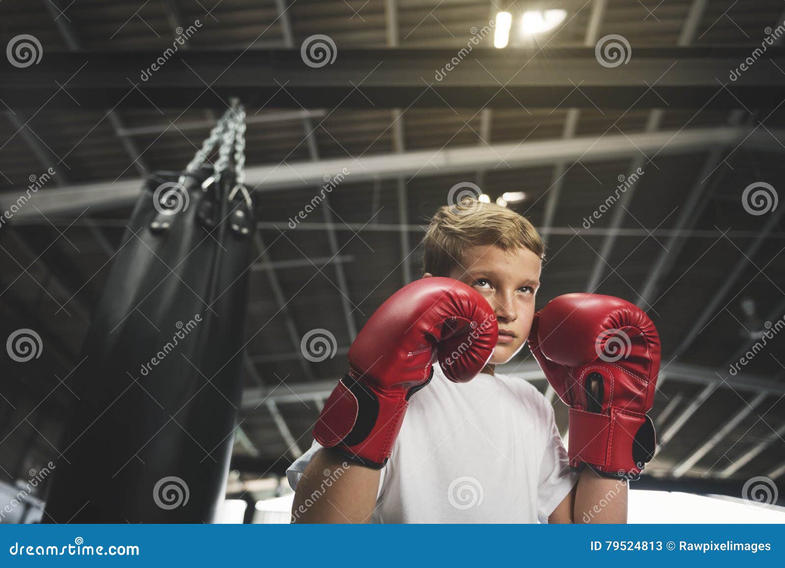 Boy Boxing Training Punching Bag Exercise Concept Stock Image Image