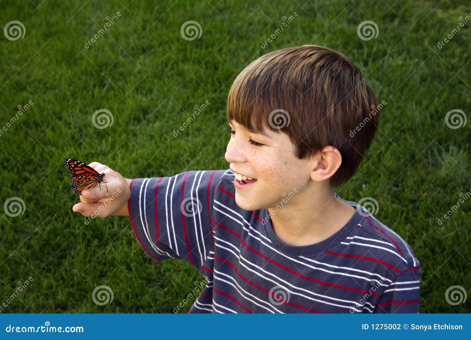 Boy with Butterfly stock photo. Image of hand, child, delicate 1275002