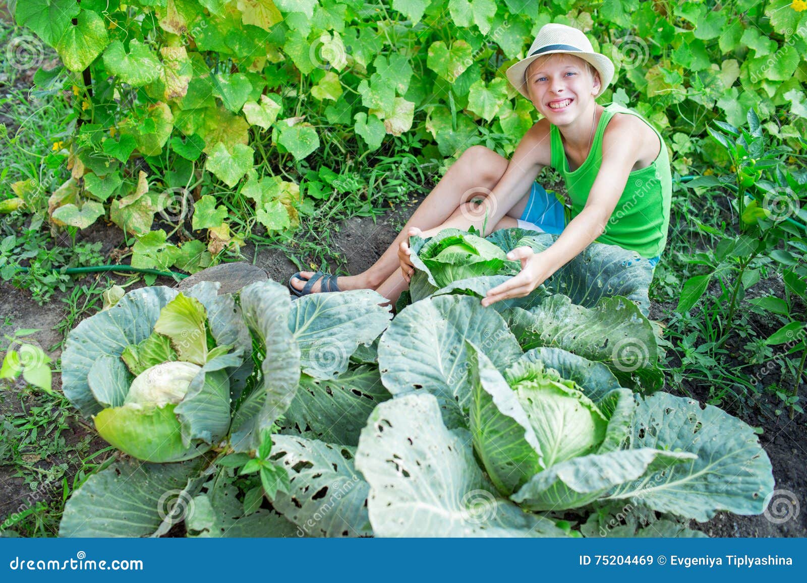 Boy with cabbage stock image. Image of vegetable, caucasian 75204469