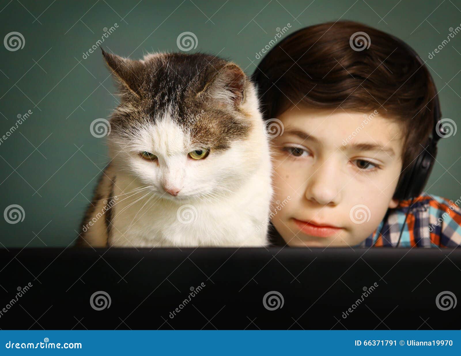 Boy and Cat Watch Movie on Computer Stock Image Image of kitten