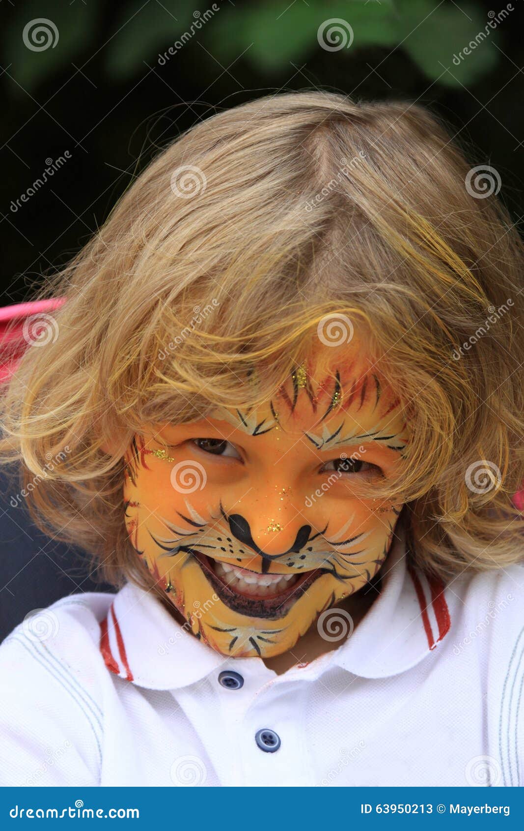 Kid Lion Face Painting - Free Royalty-Free Stock Photos from Dreamstime