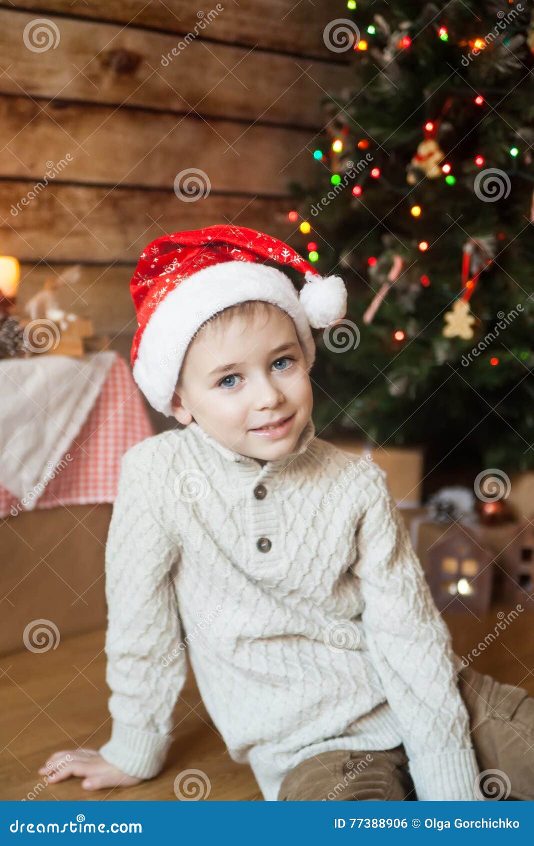 Boy in a Christmas Hat in Front of Decorated Tree Stock Photo Image