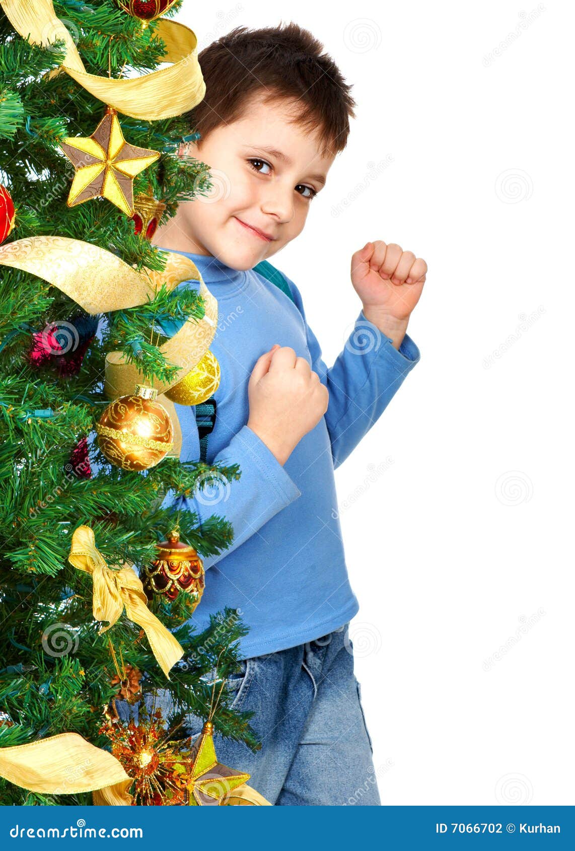 Boy and a Christmas Tree stock photo. Image of isolated 7066702