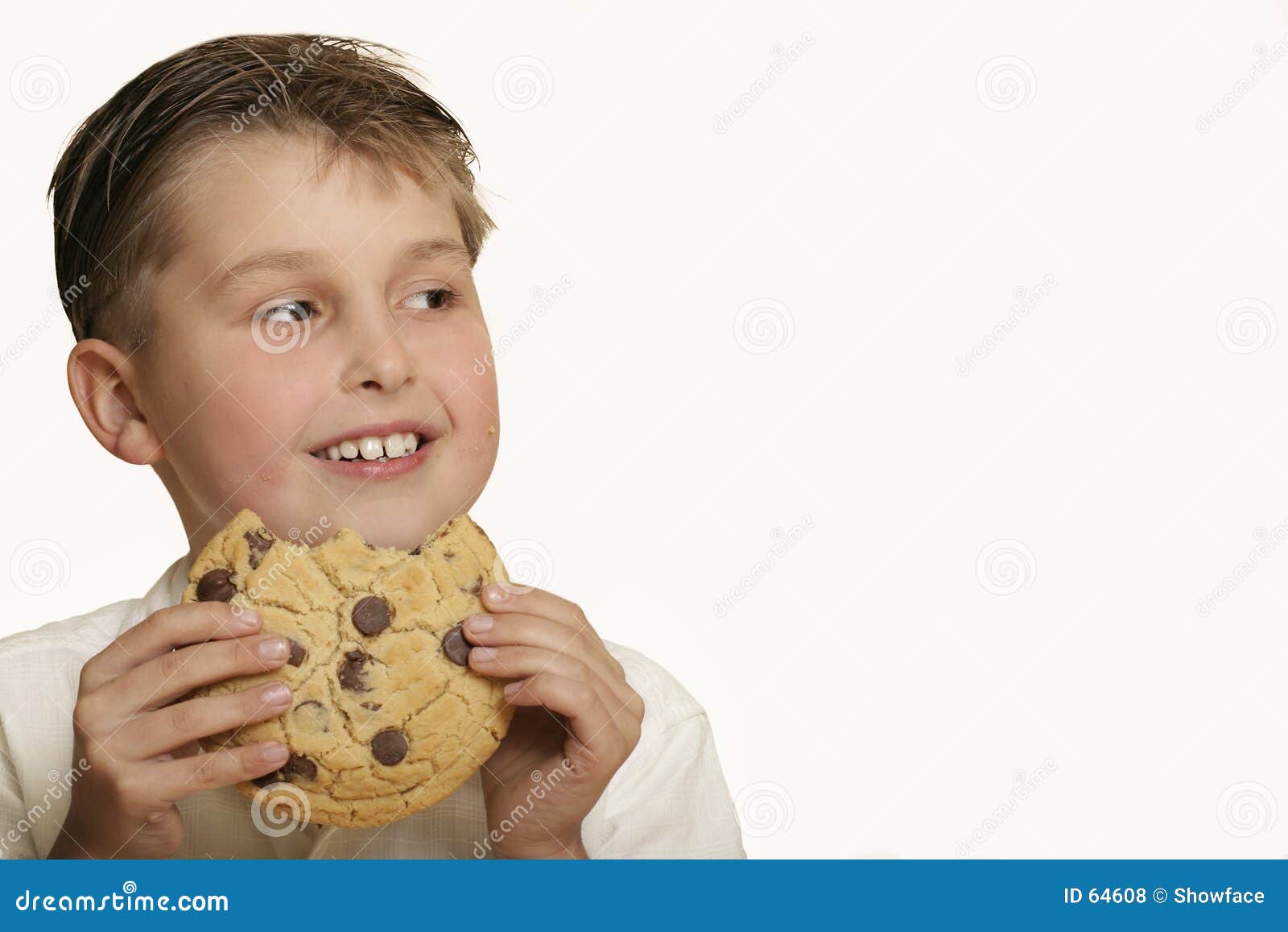 Boy with cookie stock photo. Image of sweet, biscuit, children 64608