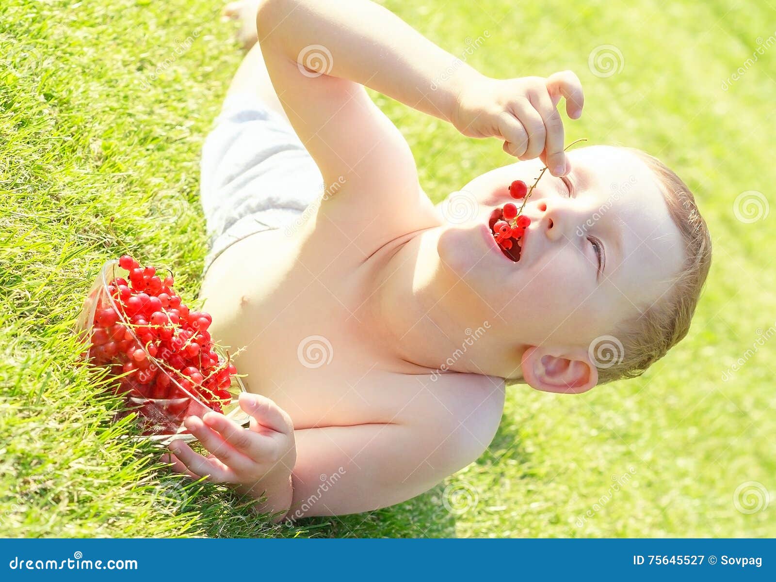 Boy Eating Berries Currants Stock Image Image of sweet, grass 75645527