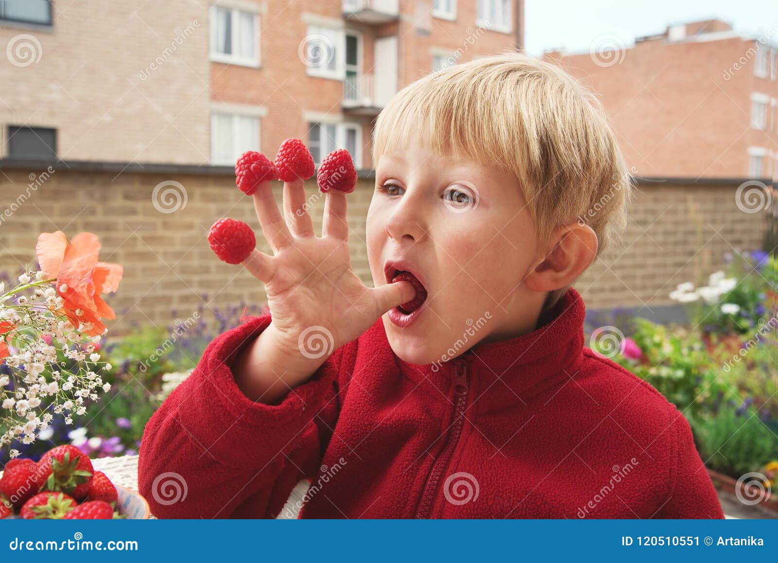 Boy eating berries stock image. Image of berry, food 120510551