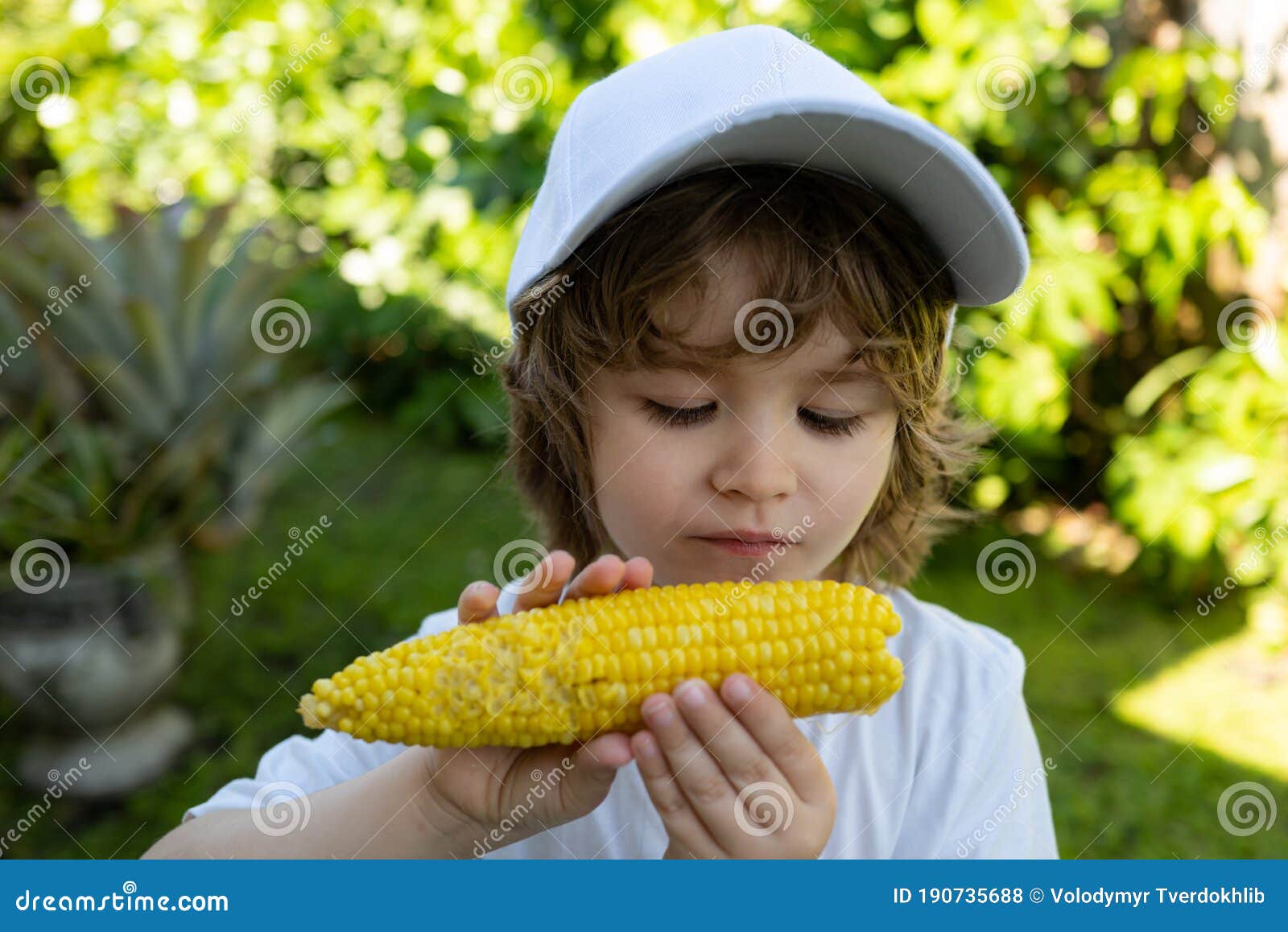 Boy Eating Corn. Children with Vegetables, Fresh Organic Corn. Stock