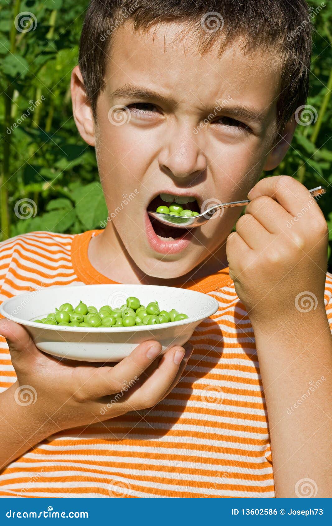 Boy eating peas stock photo. Image of human, healthy 13602586