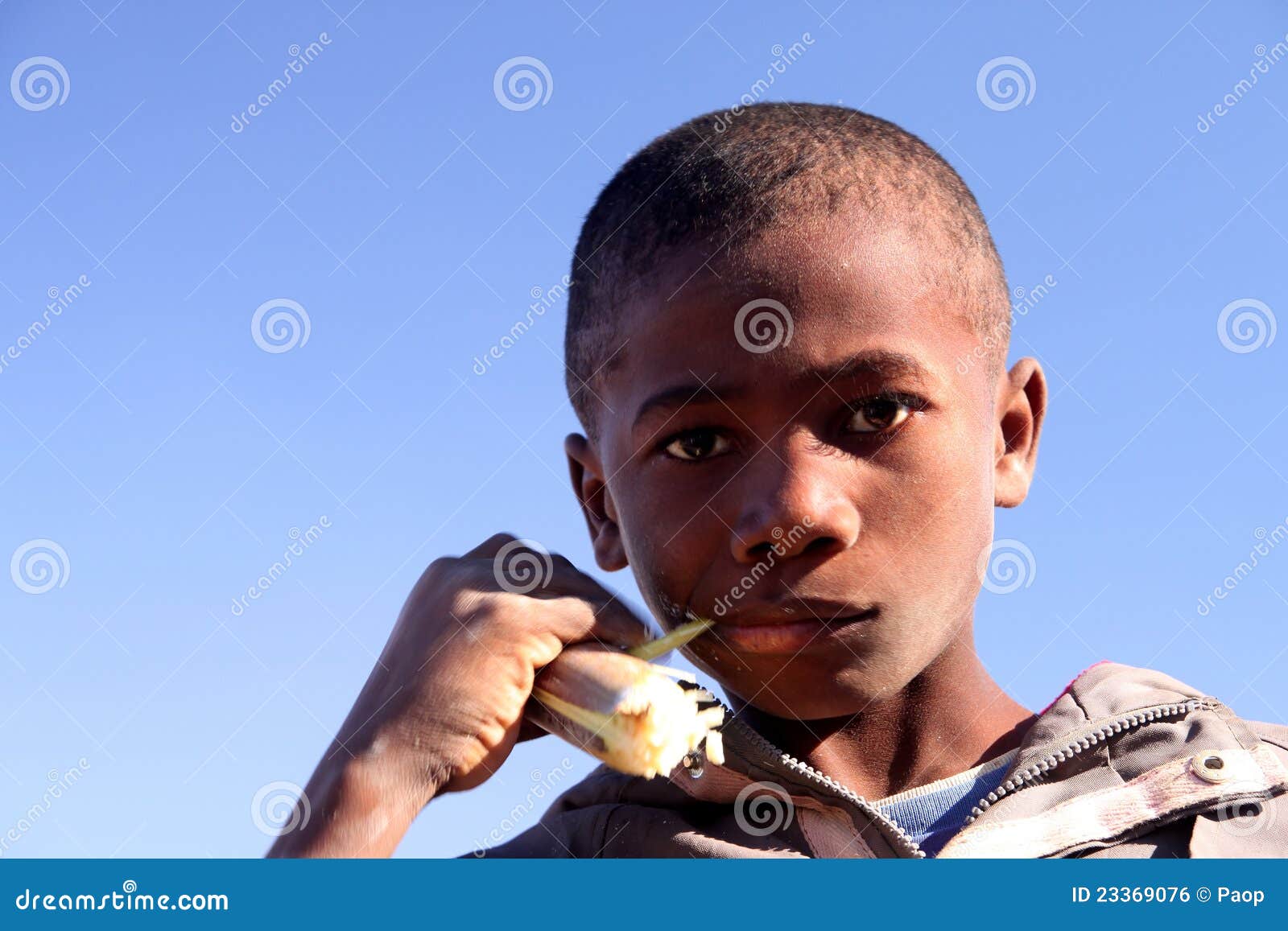 Boy eating sugar cane editorial photo. Image of culture 23369076