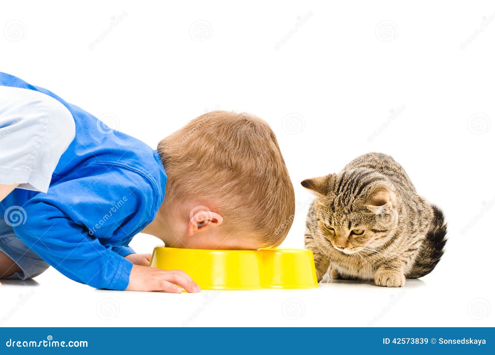 Boy eats a bowl of cat stock image. Image of appetite 42573839