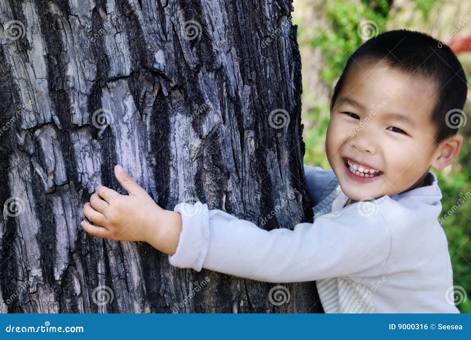 boy embrace tree bole