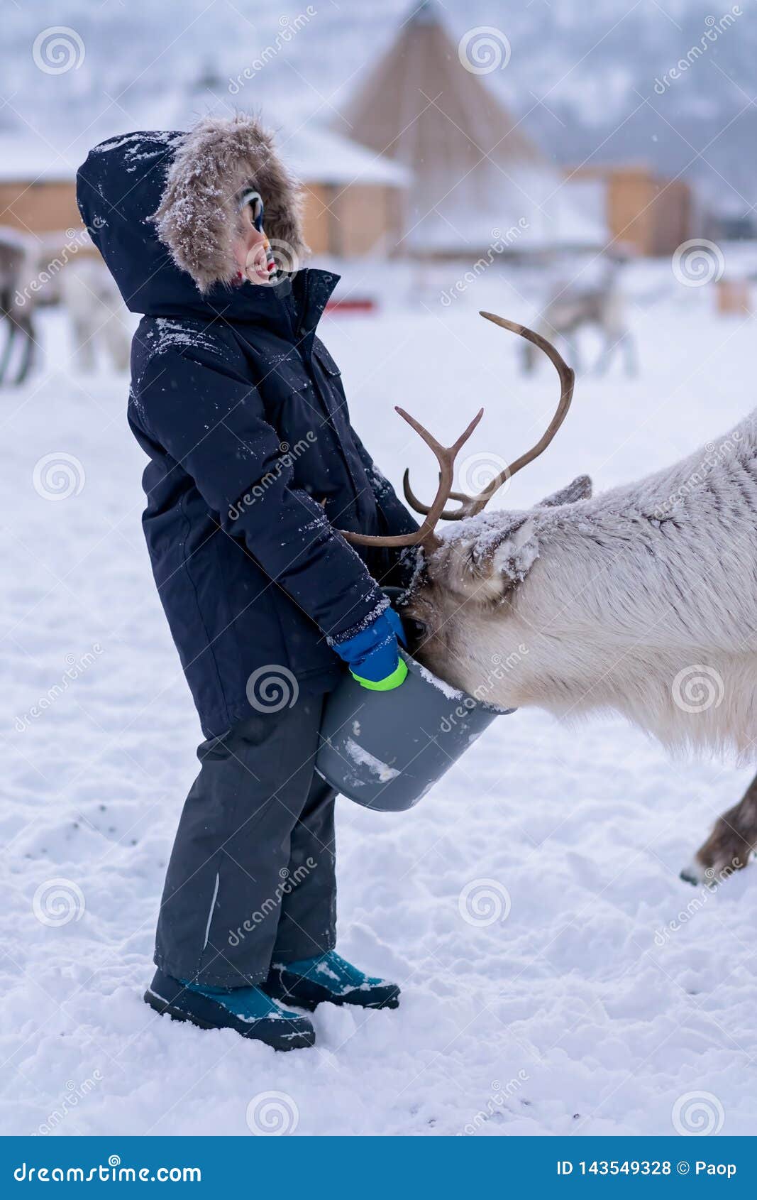 Download Boy Feeding Reindeer In The Winter Stock Photo - Image of ...
