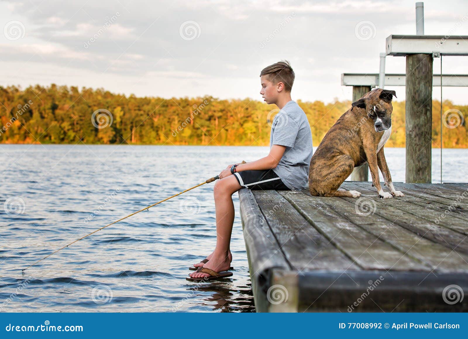 Boy Fishing with Dog on Dock at Lake Stock Photo Image of teen